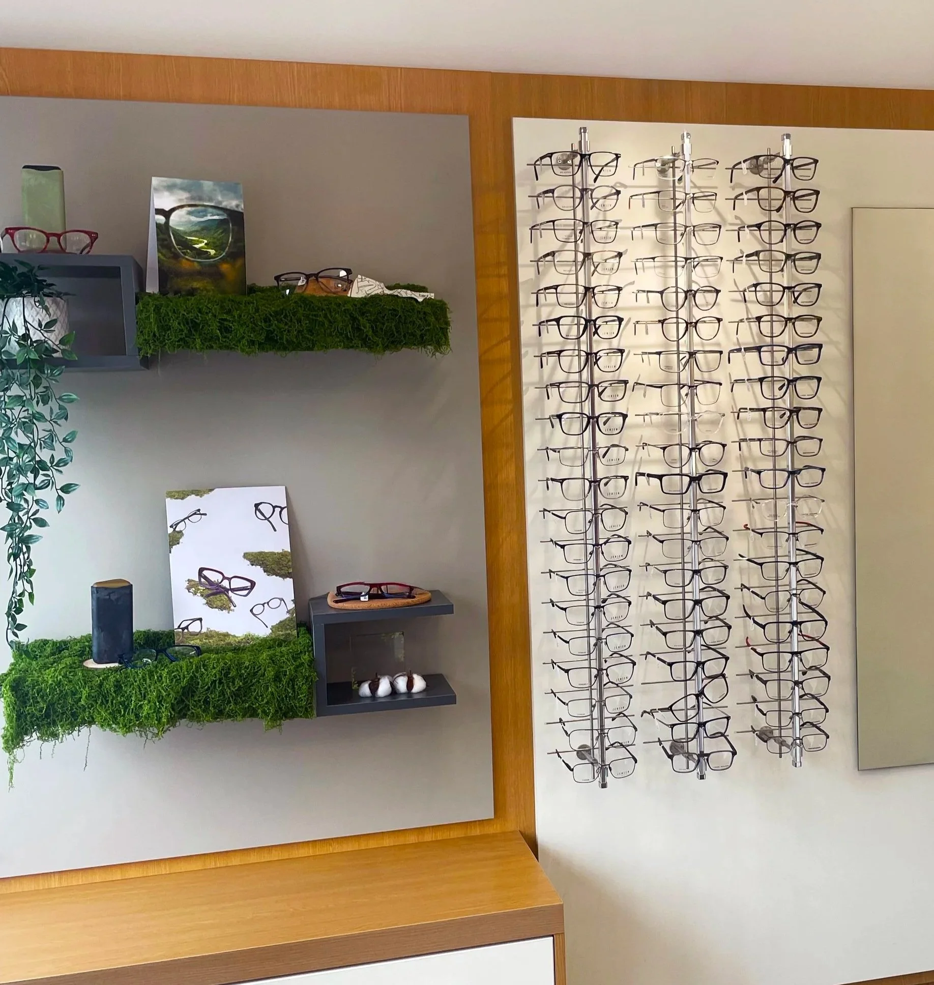 Display of eyeglasses and sunglasses on a wall-mounted rack in an eyewear store, with a decorative mirror, plant, and small shelves.