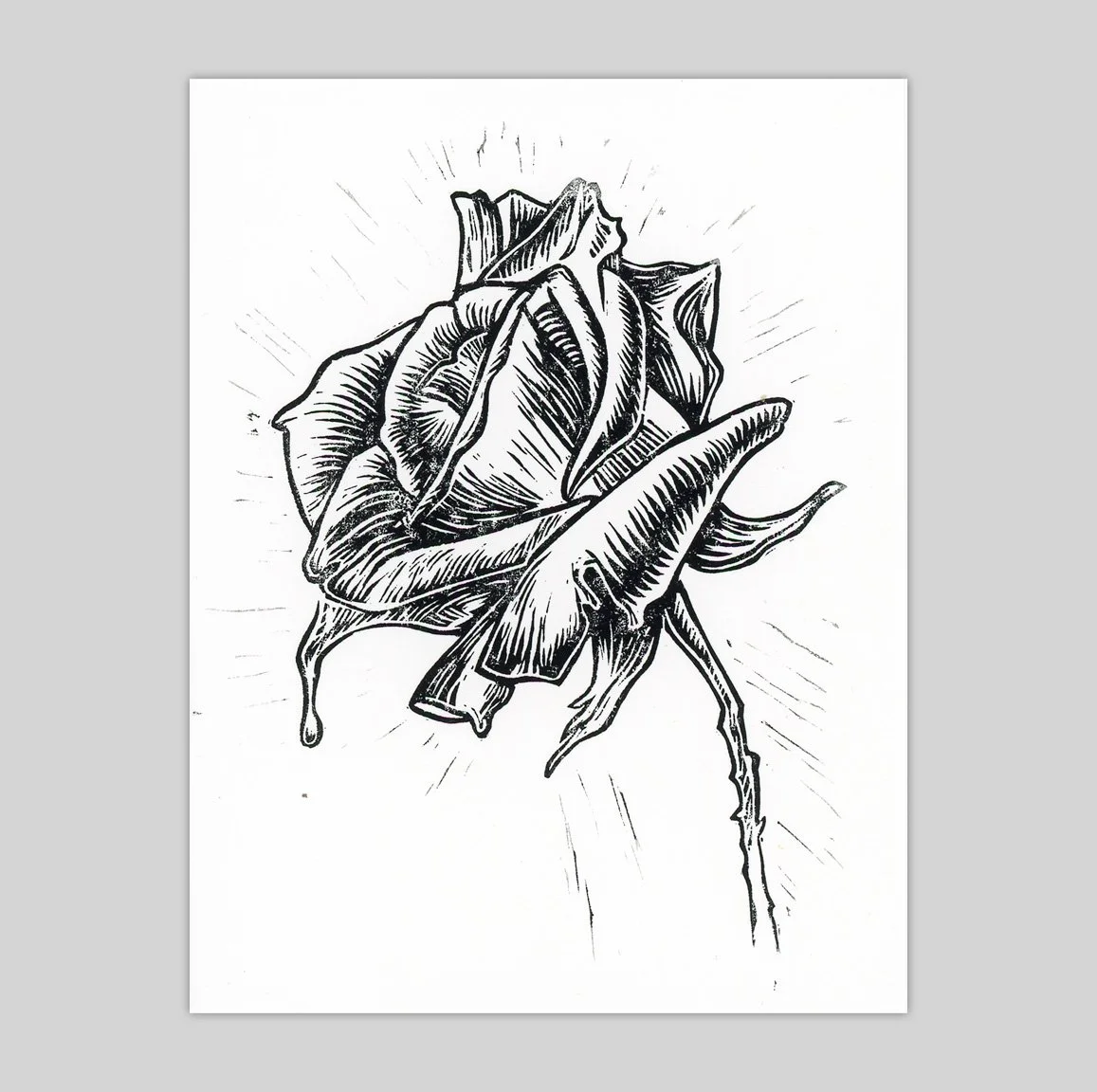 lino-rose1_4-25x5-5_design.jpg