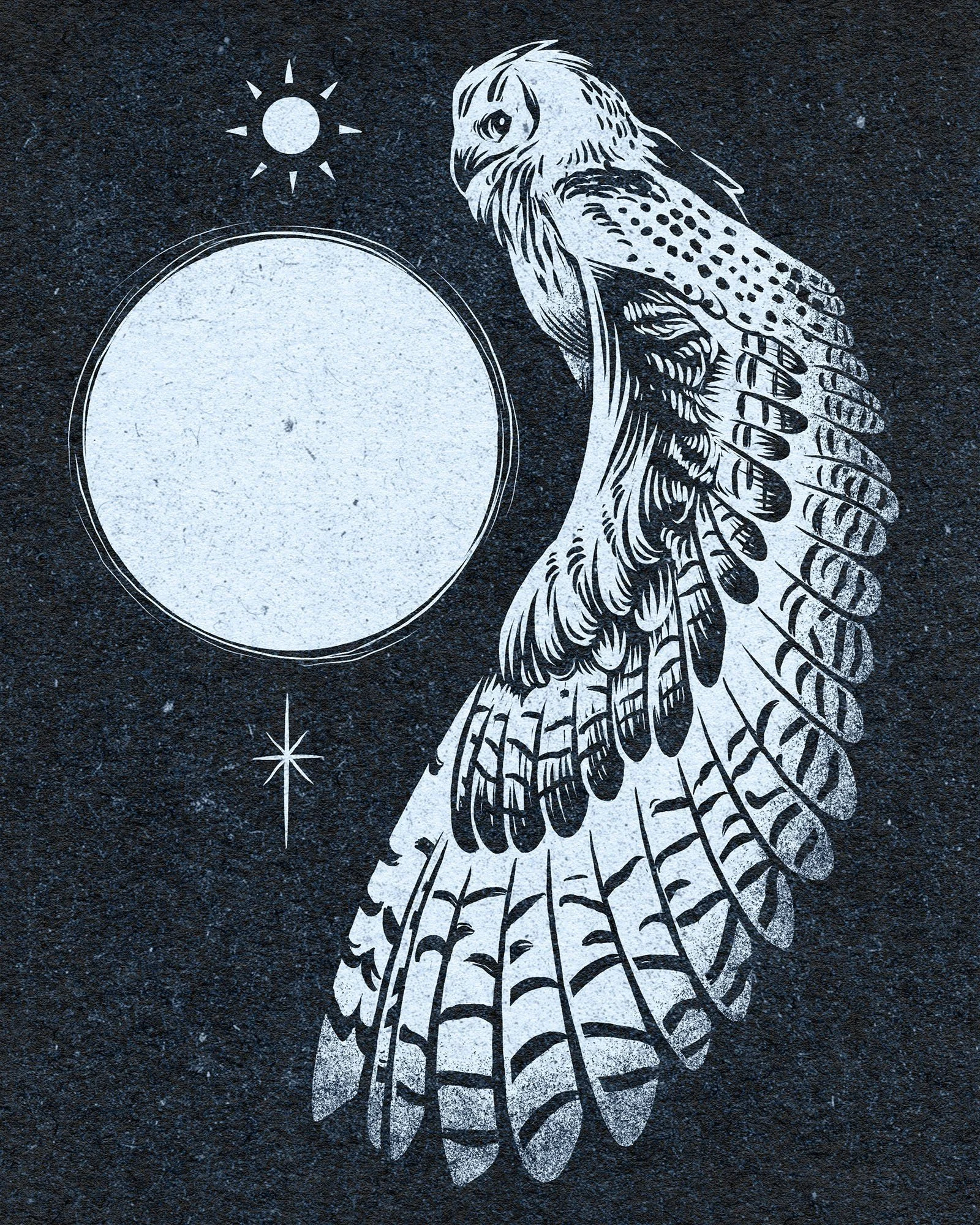 Sketch_owl moon.jpg