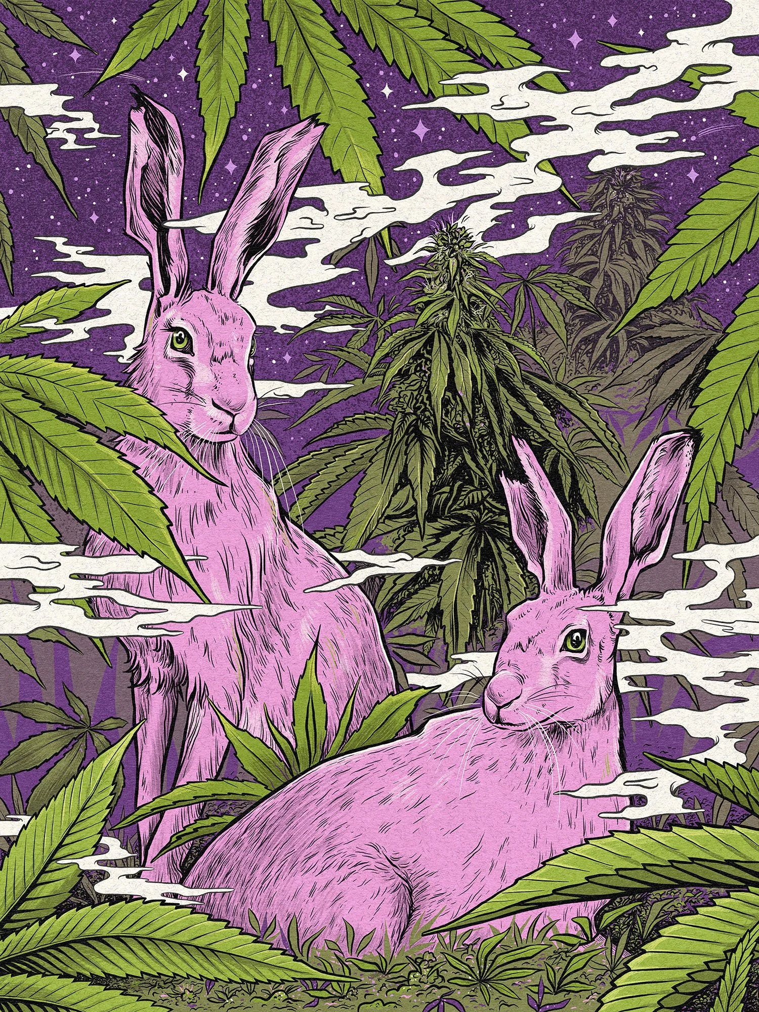Hemp-Hares_230228_lr.jpg