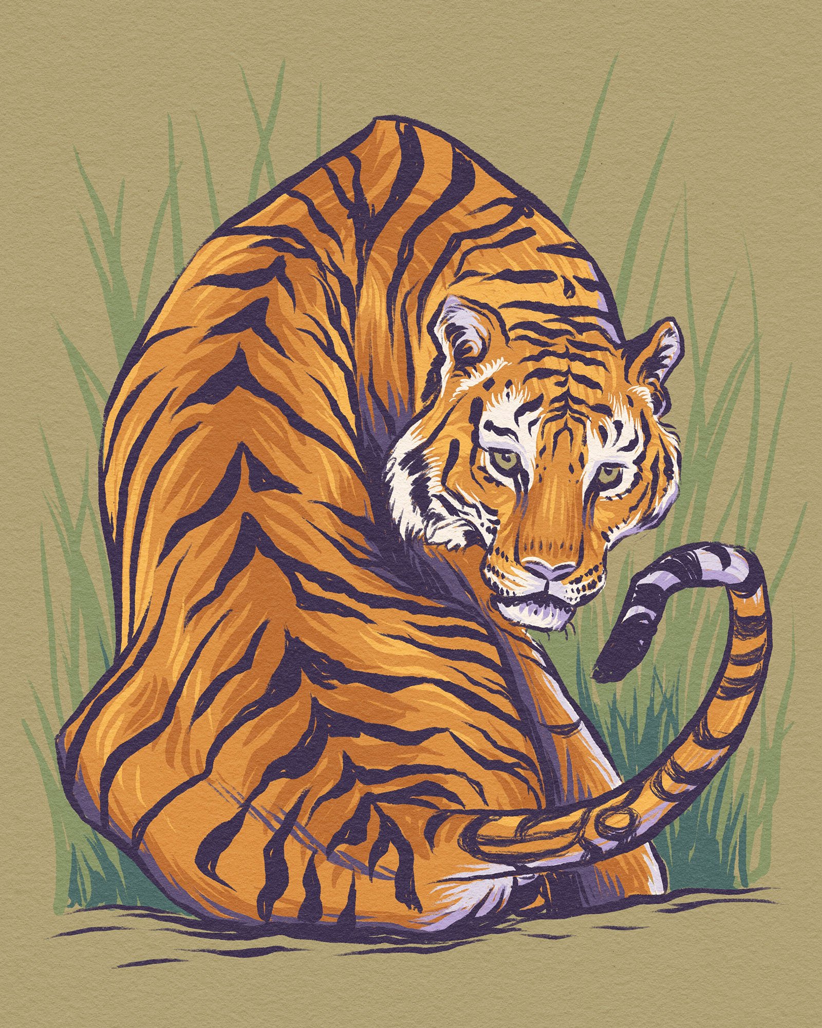 tiger.jpg