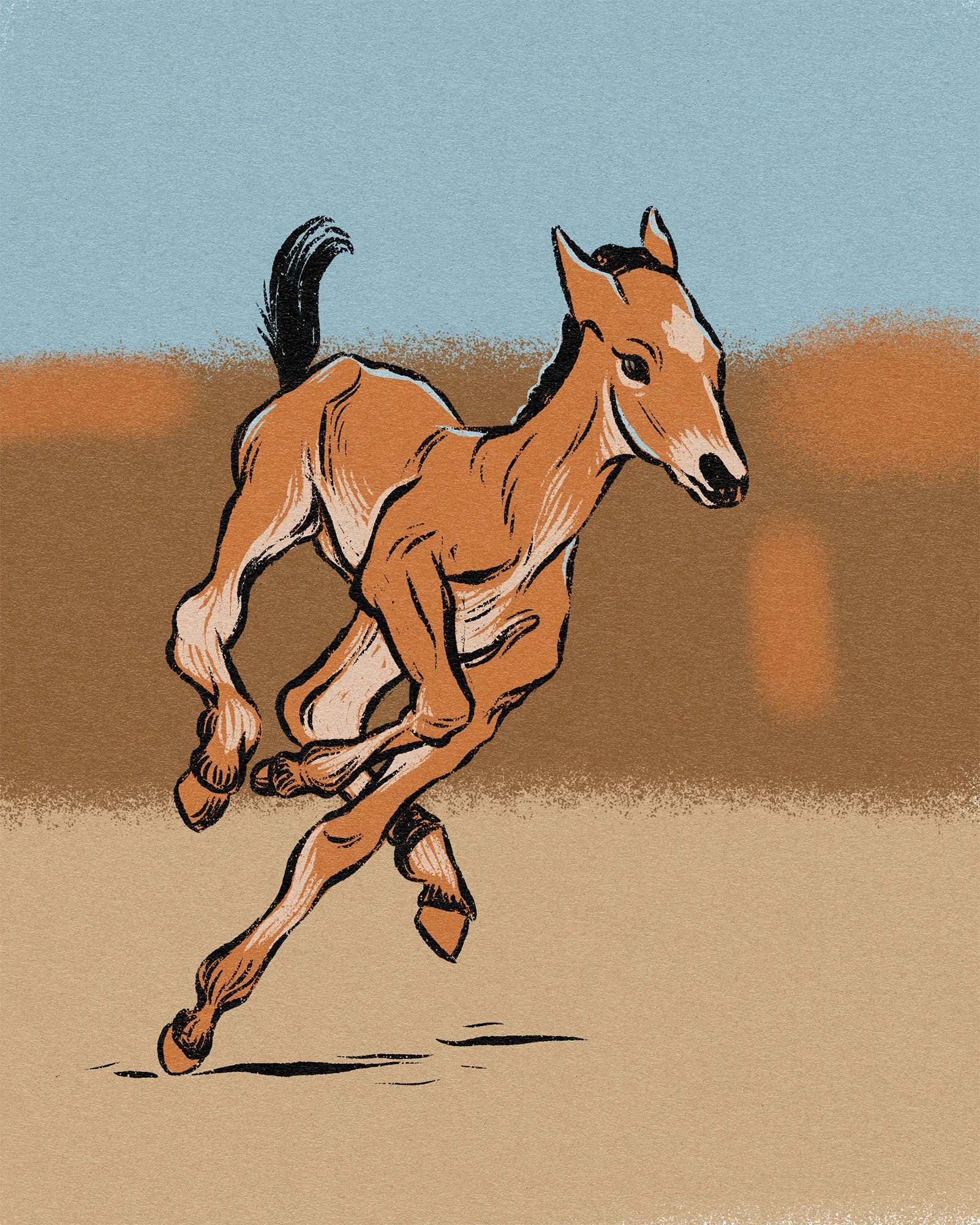 foal-sketch_2407.jpg