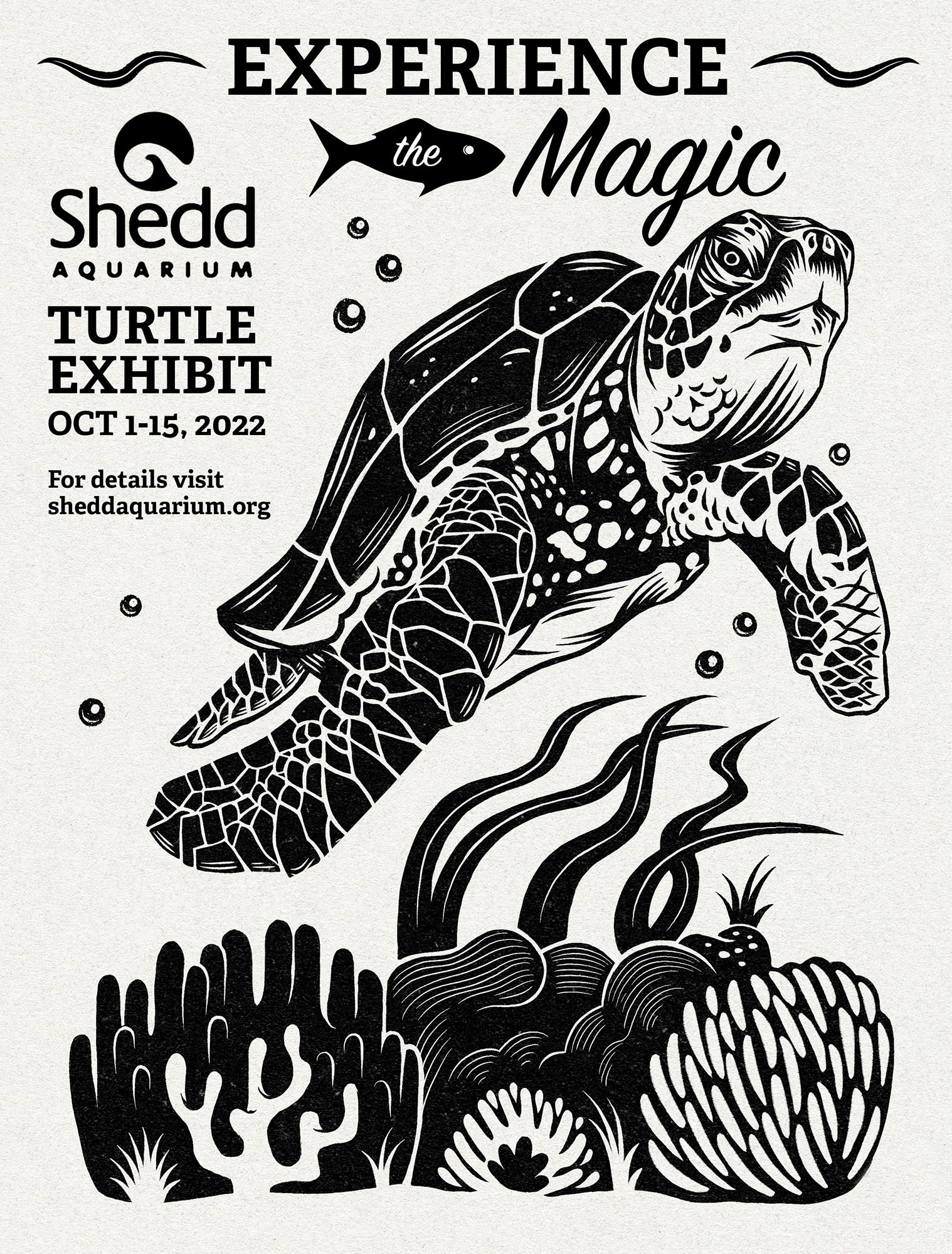Turtle-exhibit.jpg