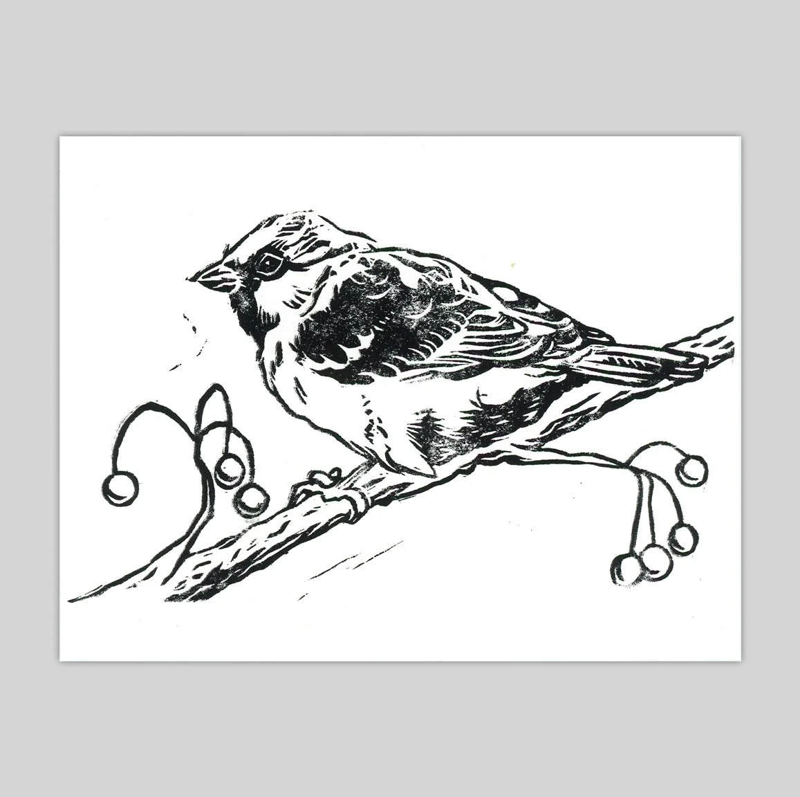 lino-sparrow_4-25x5-5_design.jpg
