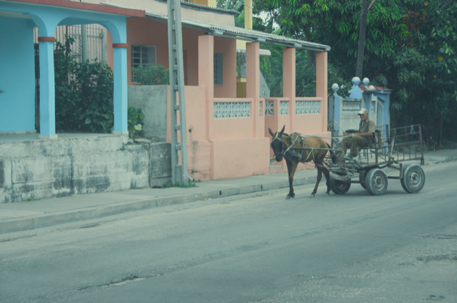A horse pulling a small carriage with a person riding on it along a street next to colorful houses.