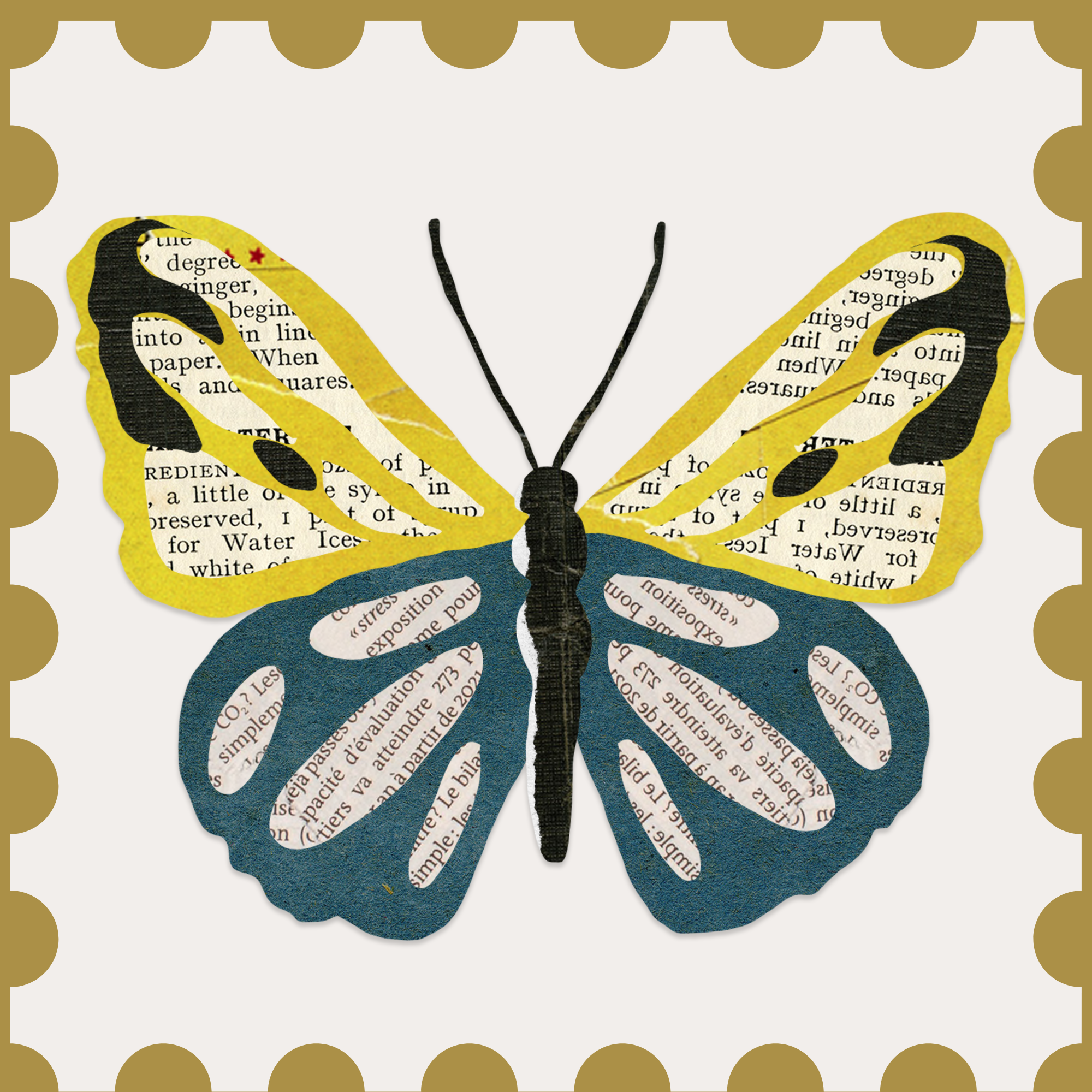 Close-up artwork of a butterfly made from cutout pieces of printed text, with yellow and black details on wings, set against a light background with a gold scalloped border.