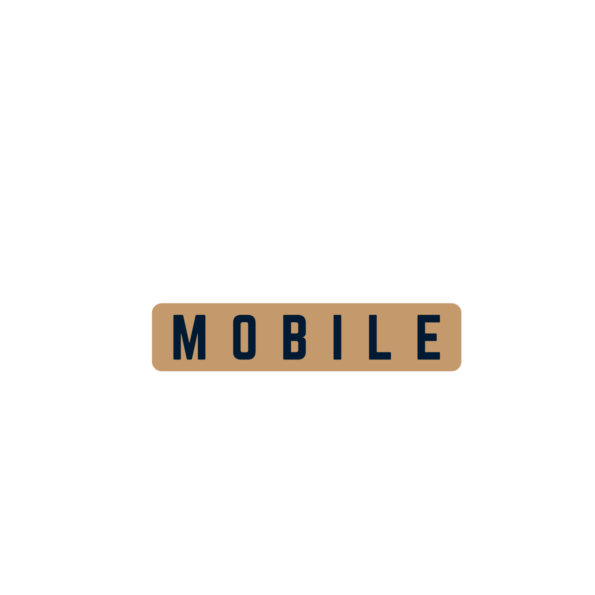 Radtke Mobile Auto Maintenance 