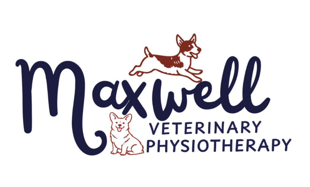 Maxwell Veterinary Physiotherapy | Mobile Veterinary Physiotherapy in Glasgow