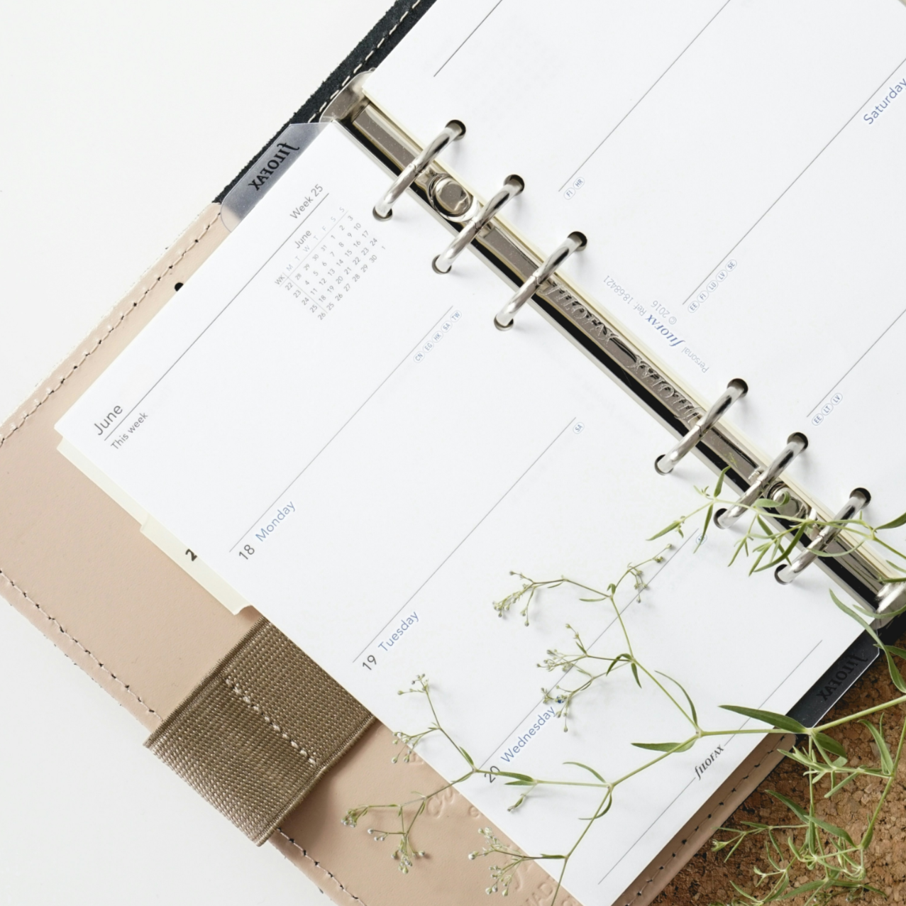 Open planner with weekly calendar pages for June, showing dates from the 18th to 20th, with a small plant nearby