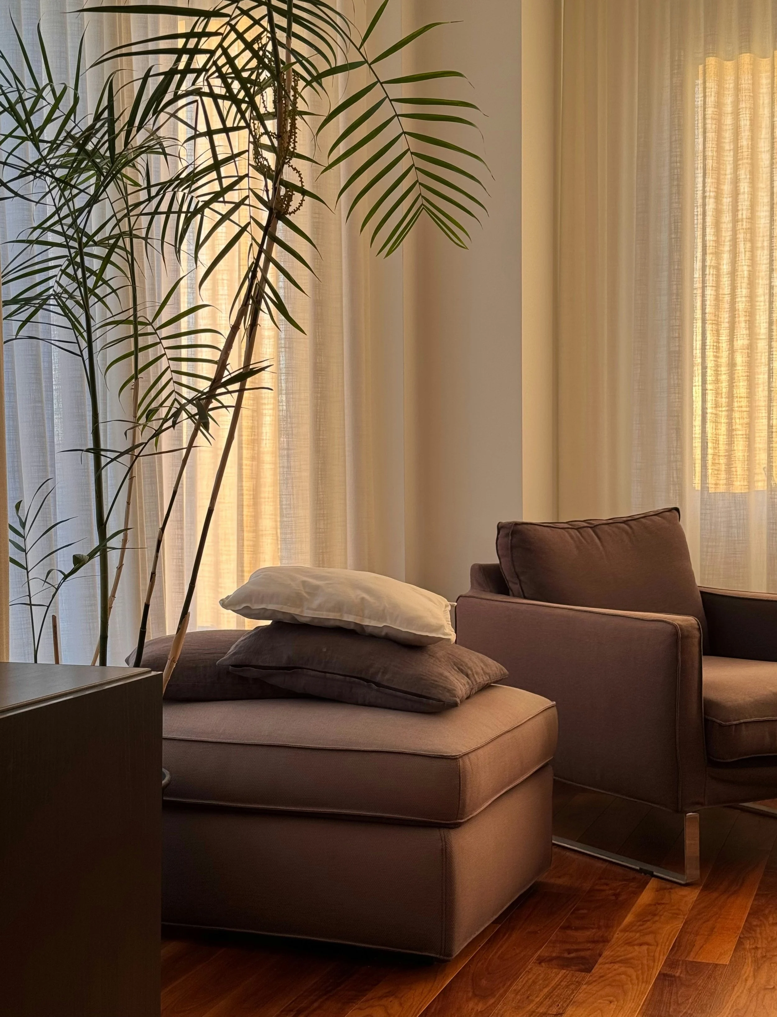 Living room with beige sofa, brown cushions, beige curtains, a tall green plant, and hardwood flooring.