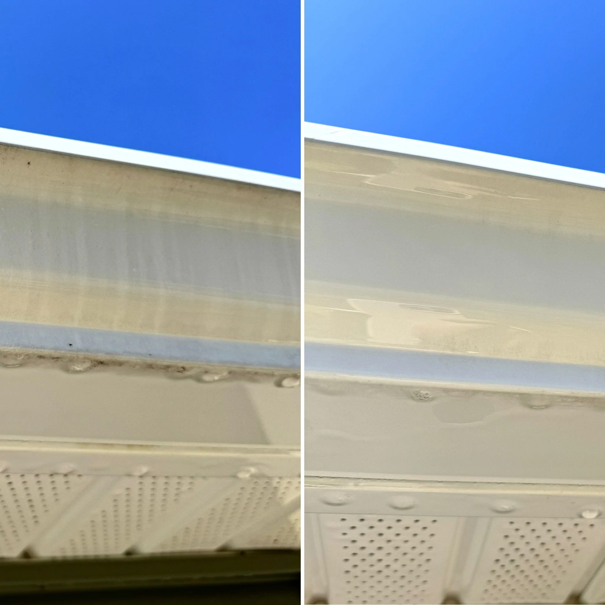12AC3B39-B1F0-4BEF-AF8E-6359F365300E.JPG