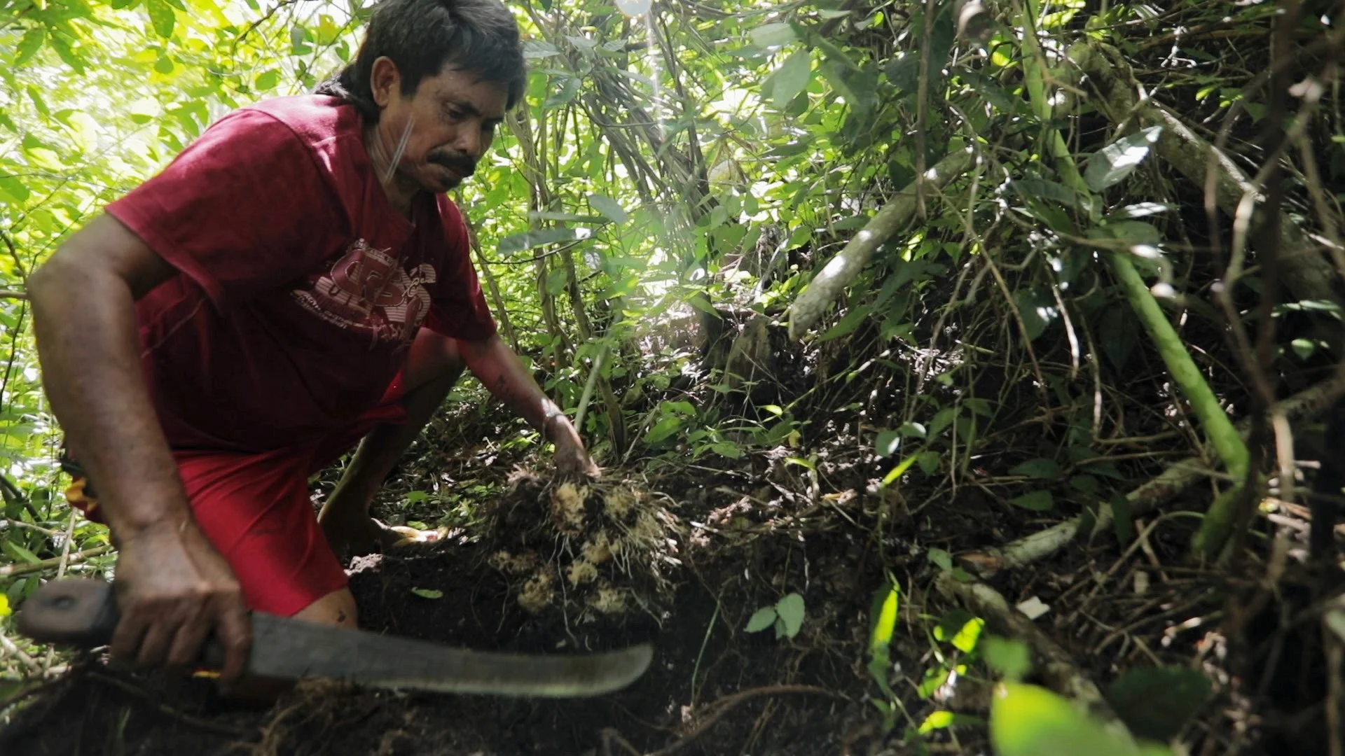 A man in a red shirt and red shorts digging in a dense jungle with a knife, holding a root or plant.