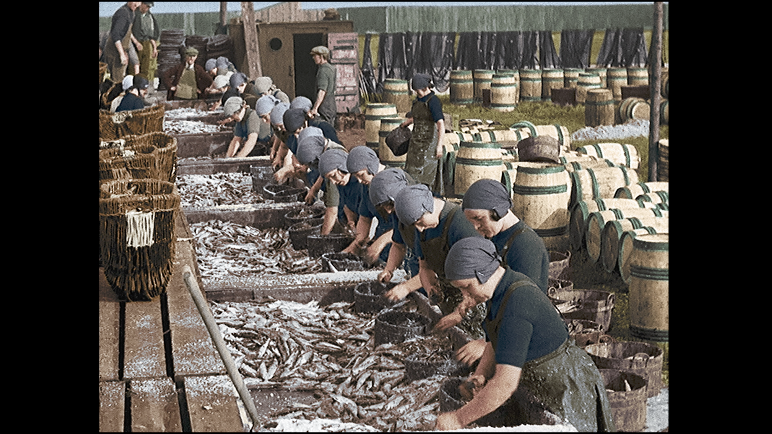 Women working at a fish processing station, sorting and cleaning a large catch of fish, with barrels and baskets nearby.