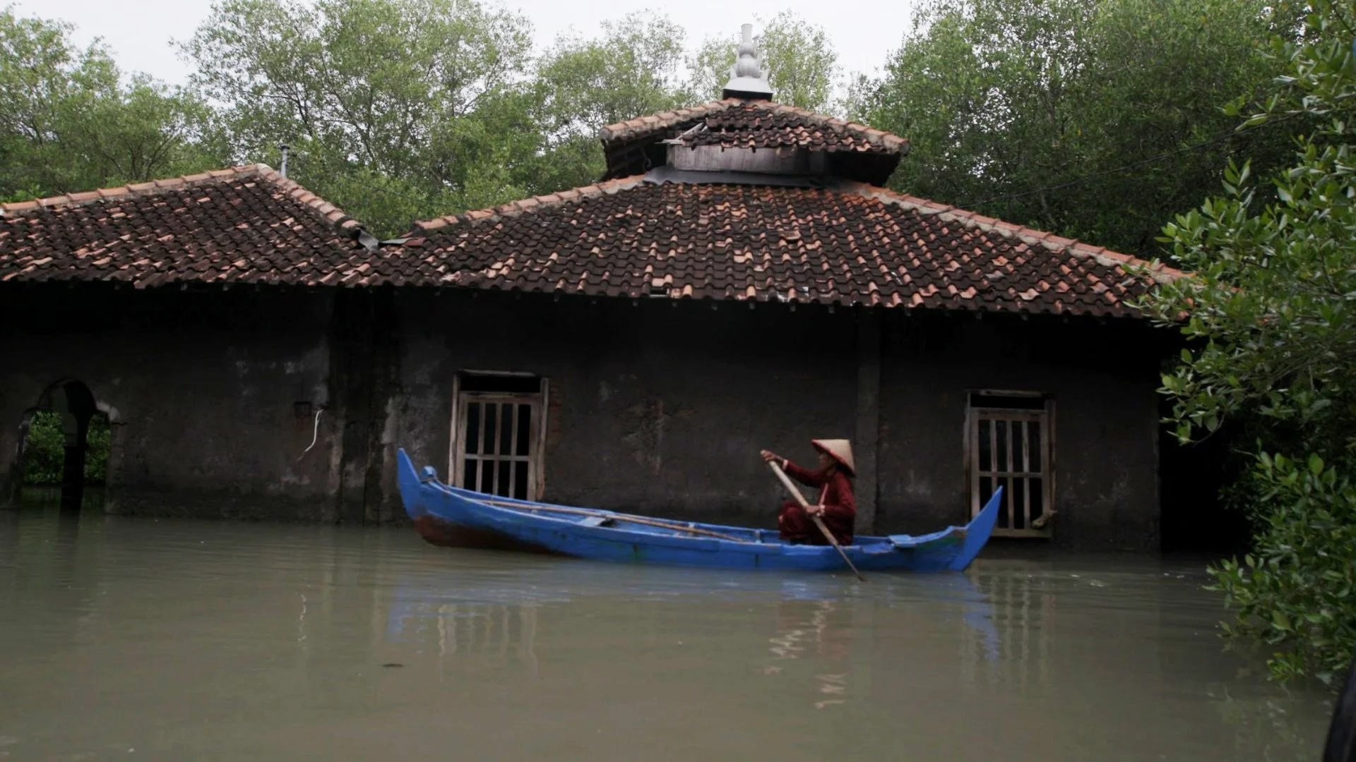 A person in traditional clothing and a conical hat paddles a small blue boat in flooded water next to an old house with a tiled roof and barred windows, surrounded by green trees.