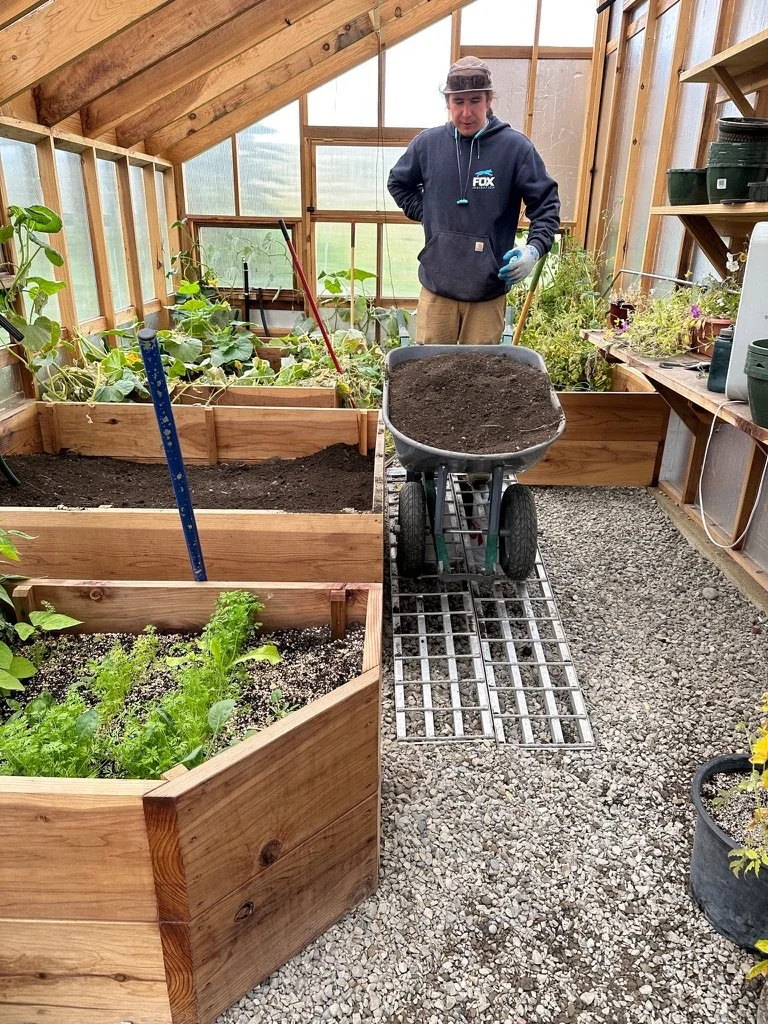 A person working in a greenhouse with wooden planting beds, some filled with soil and plants, and a wheelbarrow filled with dark soil. The individual is wearing a dark hoodie, gloves, and a cap, and is standing on a gravel path.