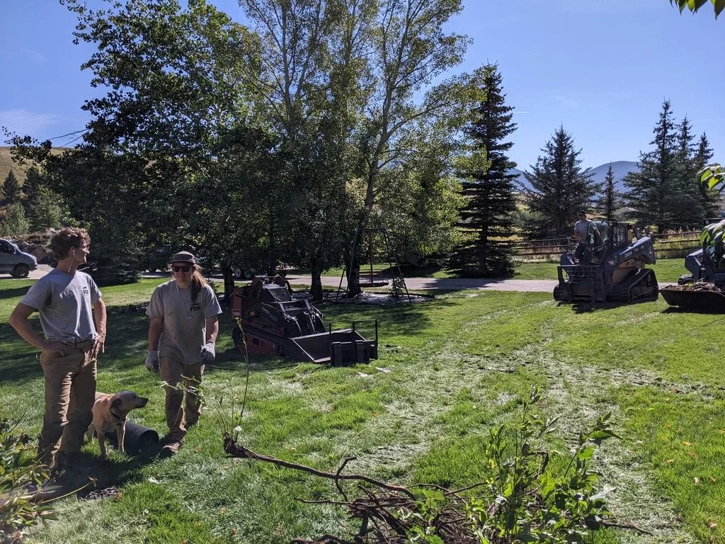 Two women and a dog standing on a grassy area, with landscaping equipment and trees around in a park or outdoor area on a sunny day.