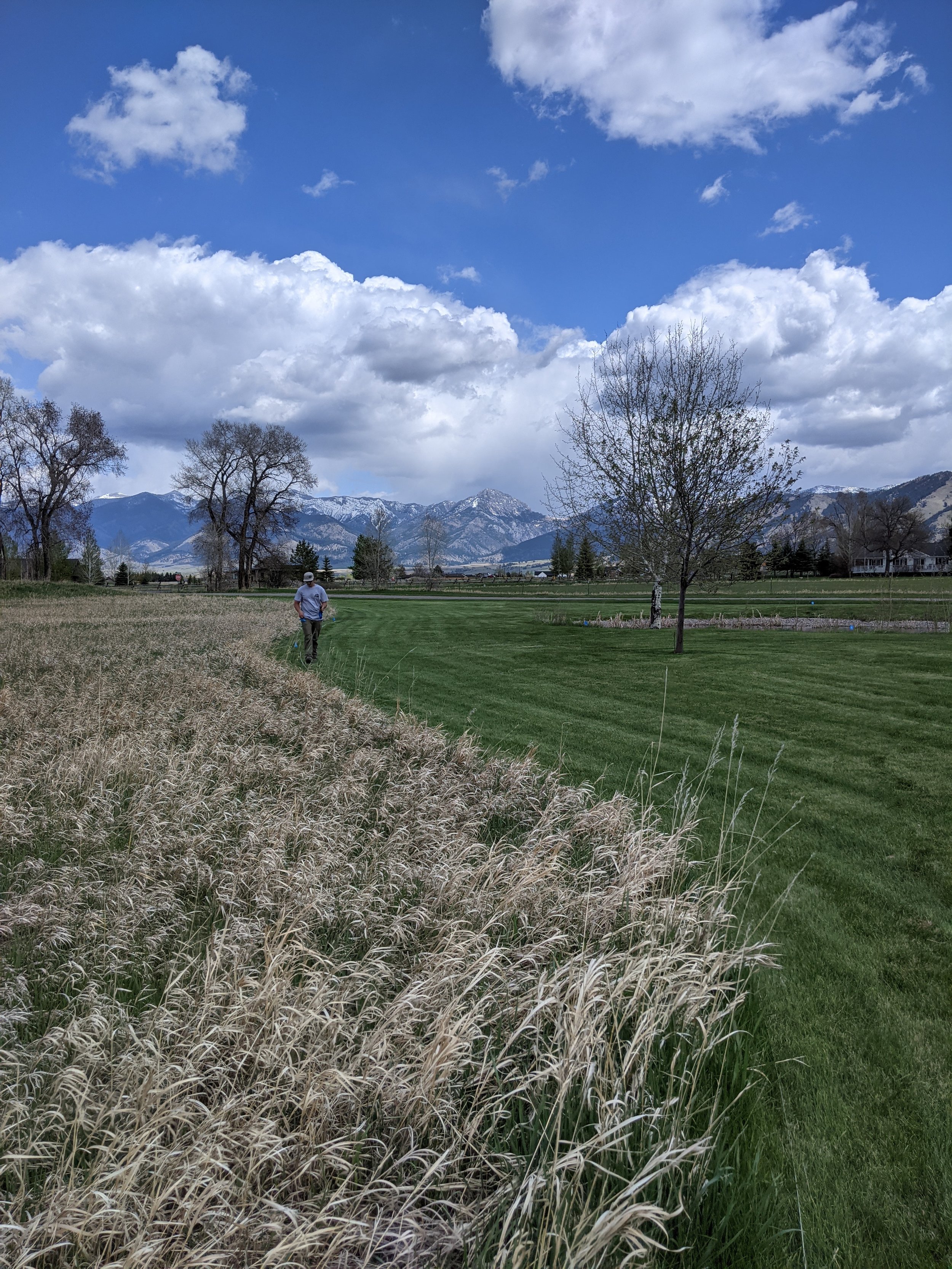 A person walking along a grassy field with dry grass on the left, trees, mountains in the background, and a blue sky with clouds.