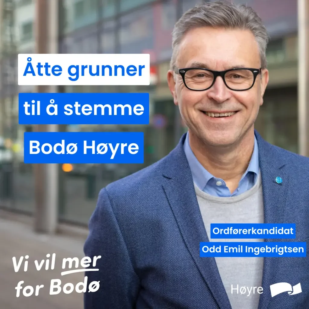 ATTE-GRUNNER-TIL-A-STEMME-BODO-HOYRE-1024x1024.webp