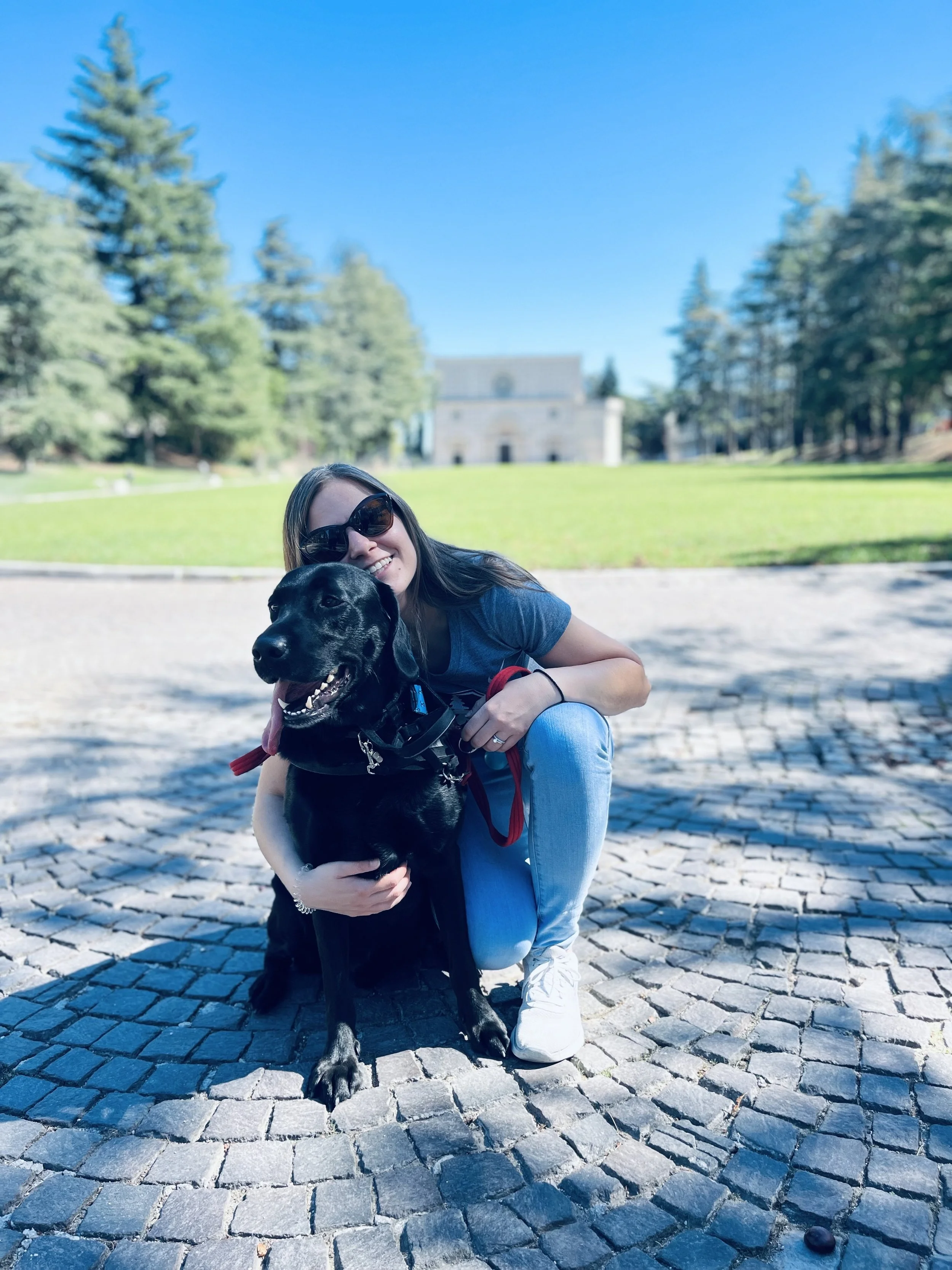private dog training cambridge