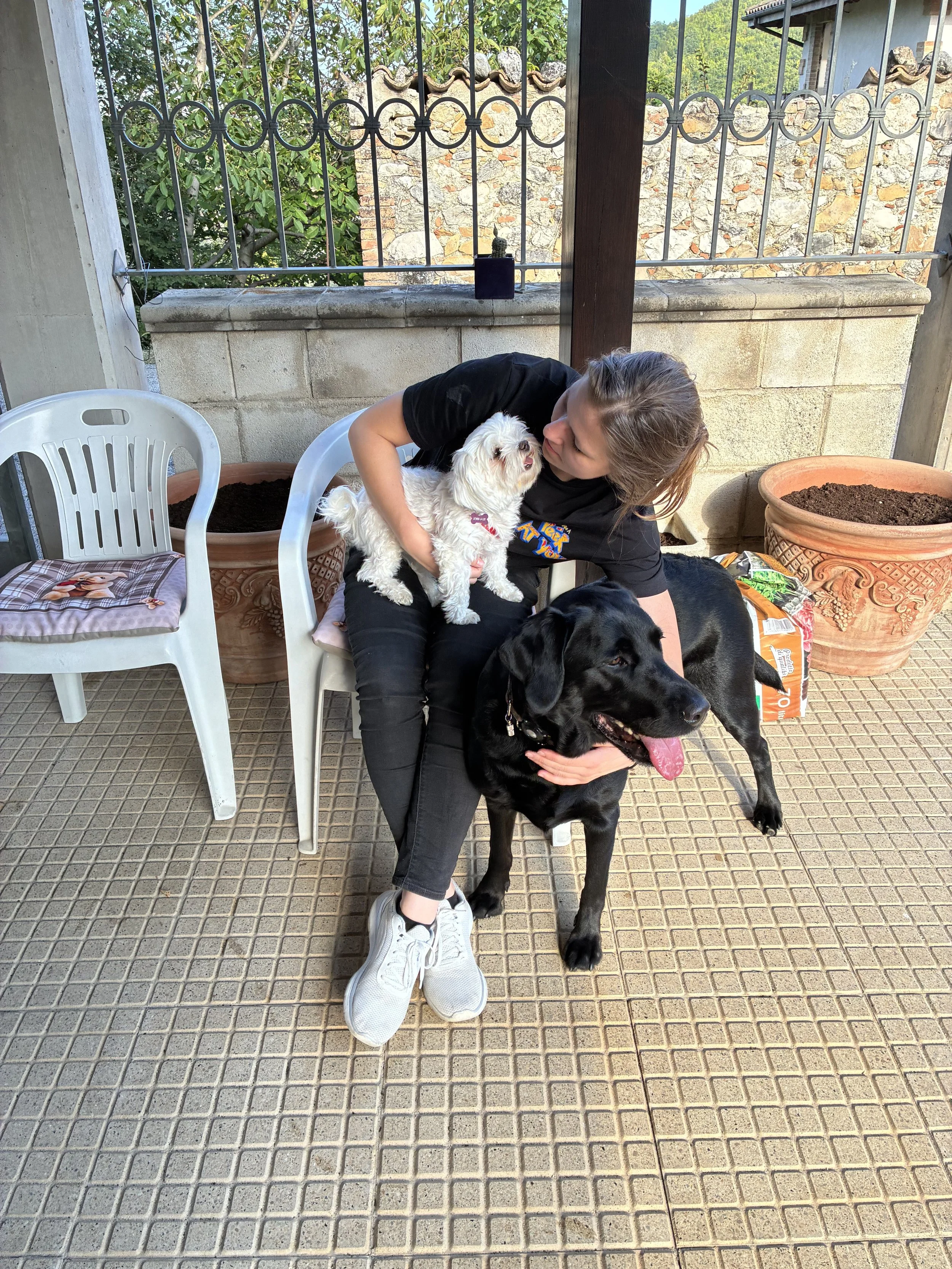 Professional dog trainer