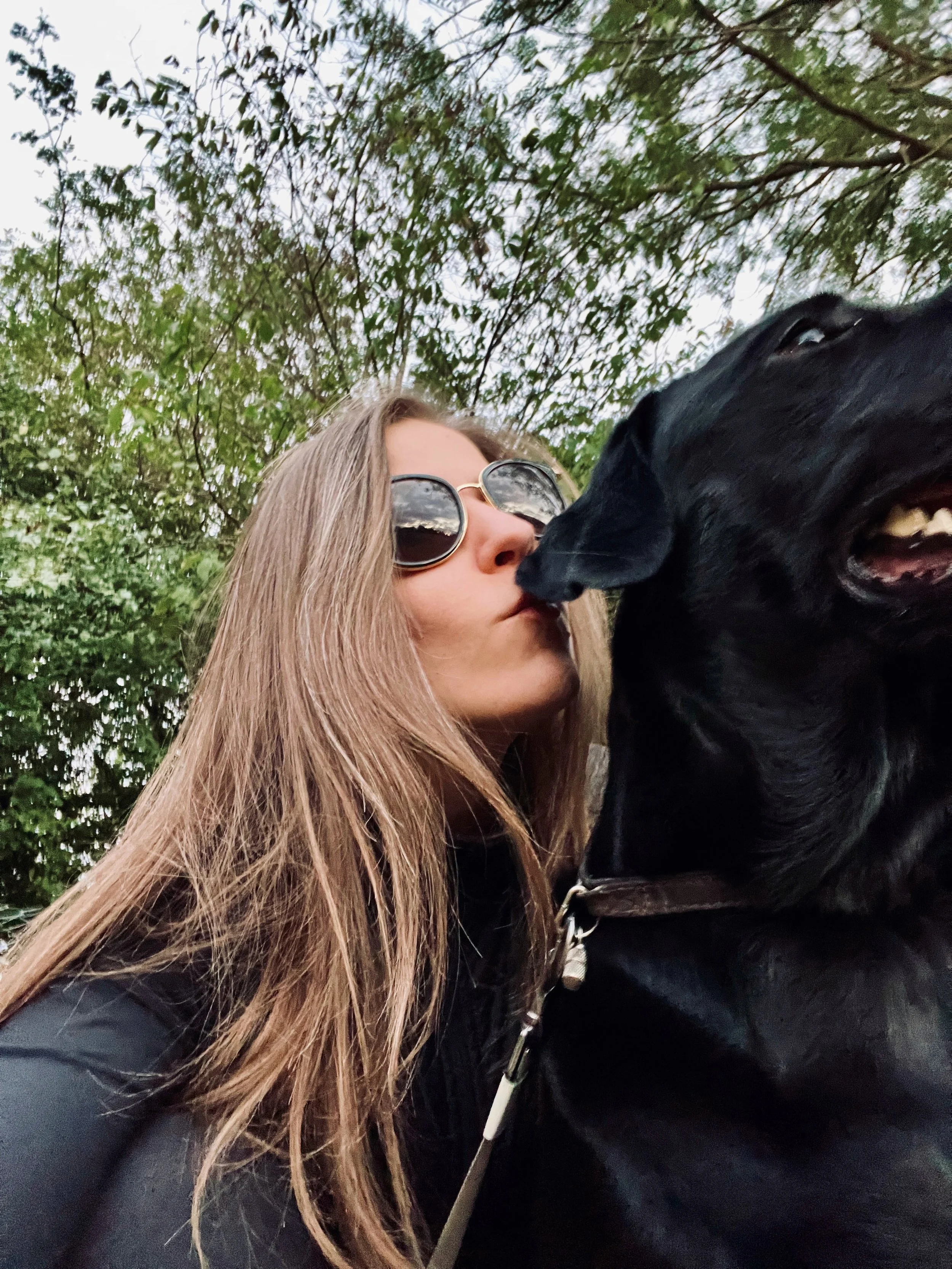Science-based dog training