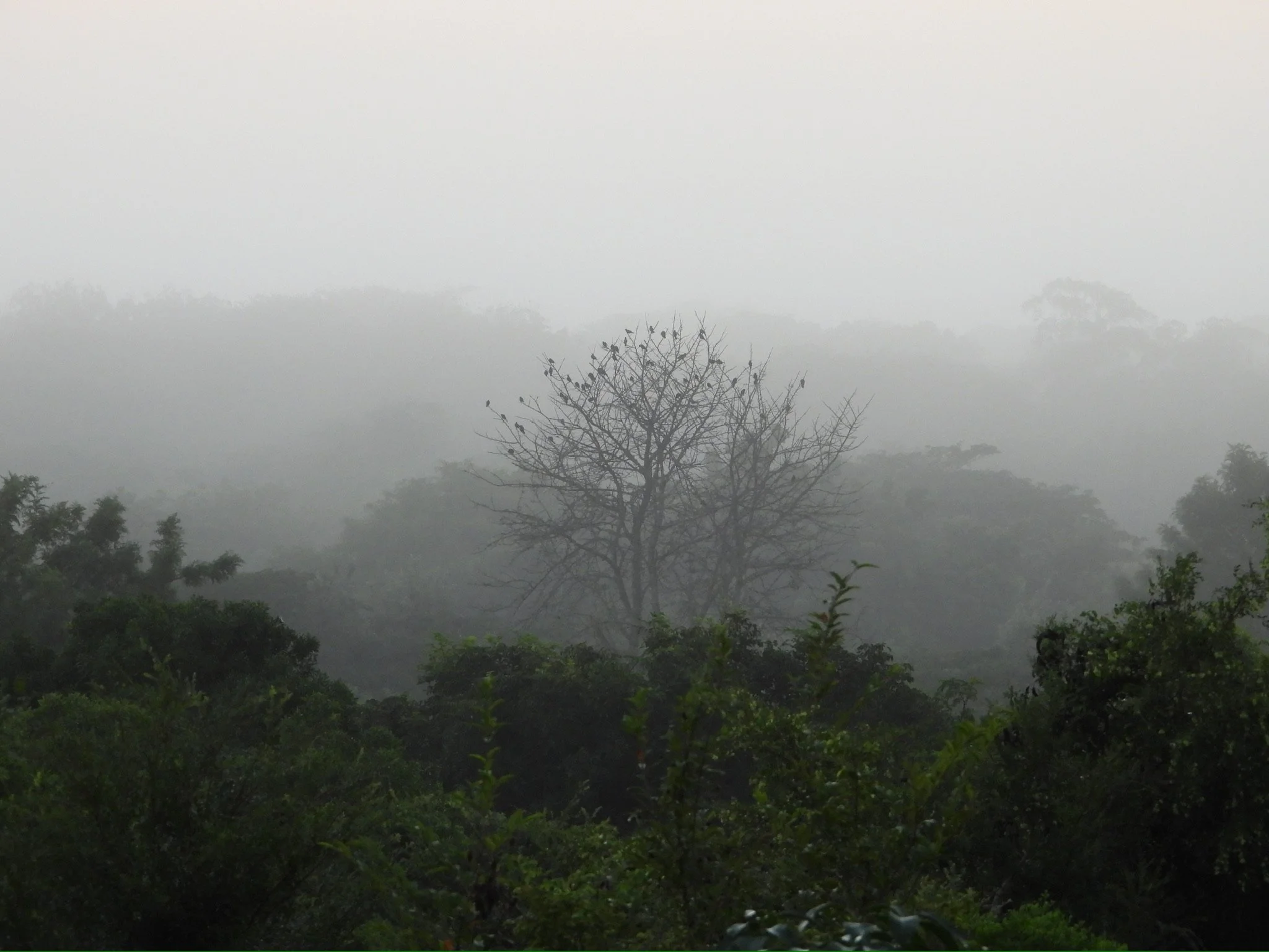 DSCN1698.jpg