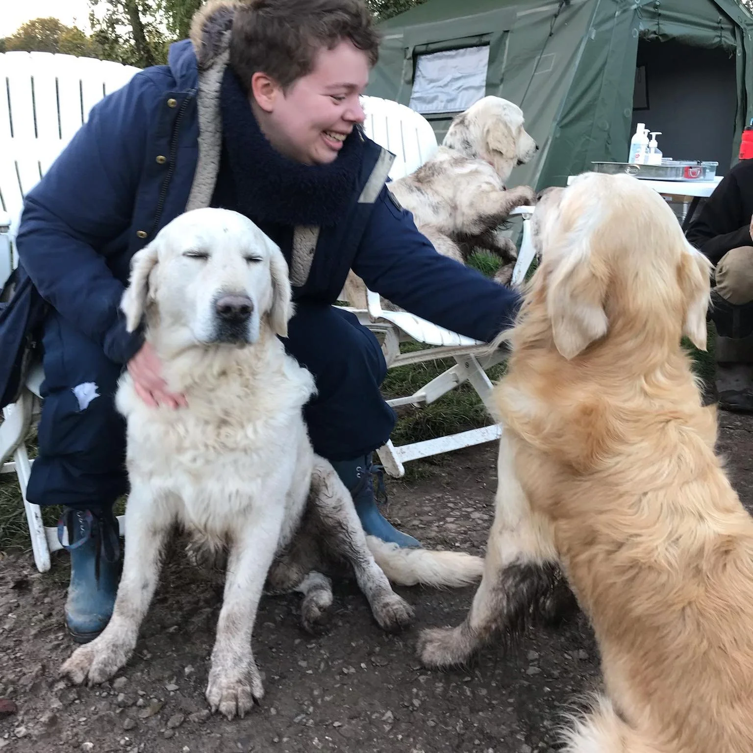 A woman with short curly hair and a navy jacket is smiling and petting two golden retrievers, one sitting with eyes closed and the other facing away. There are two more dogs in the background sitting near a green tent.