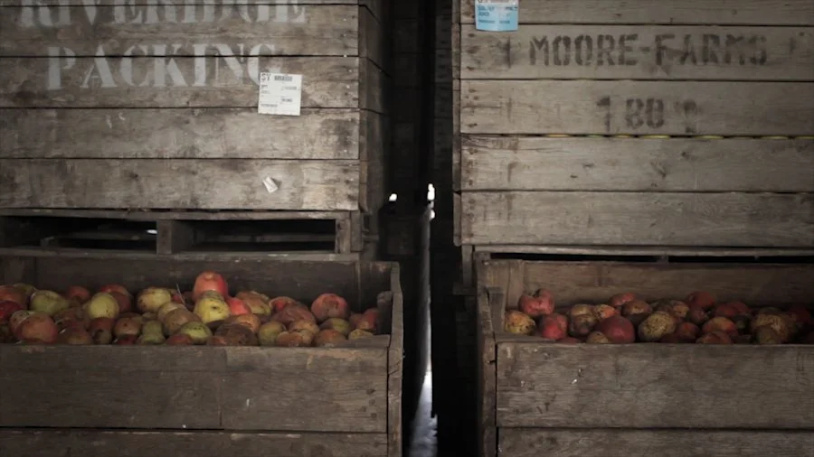 Crates of apples ready to be pressed
