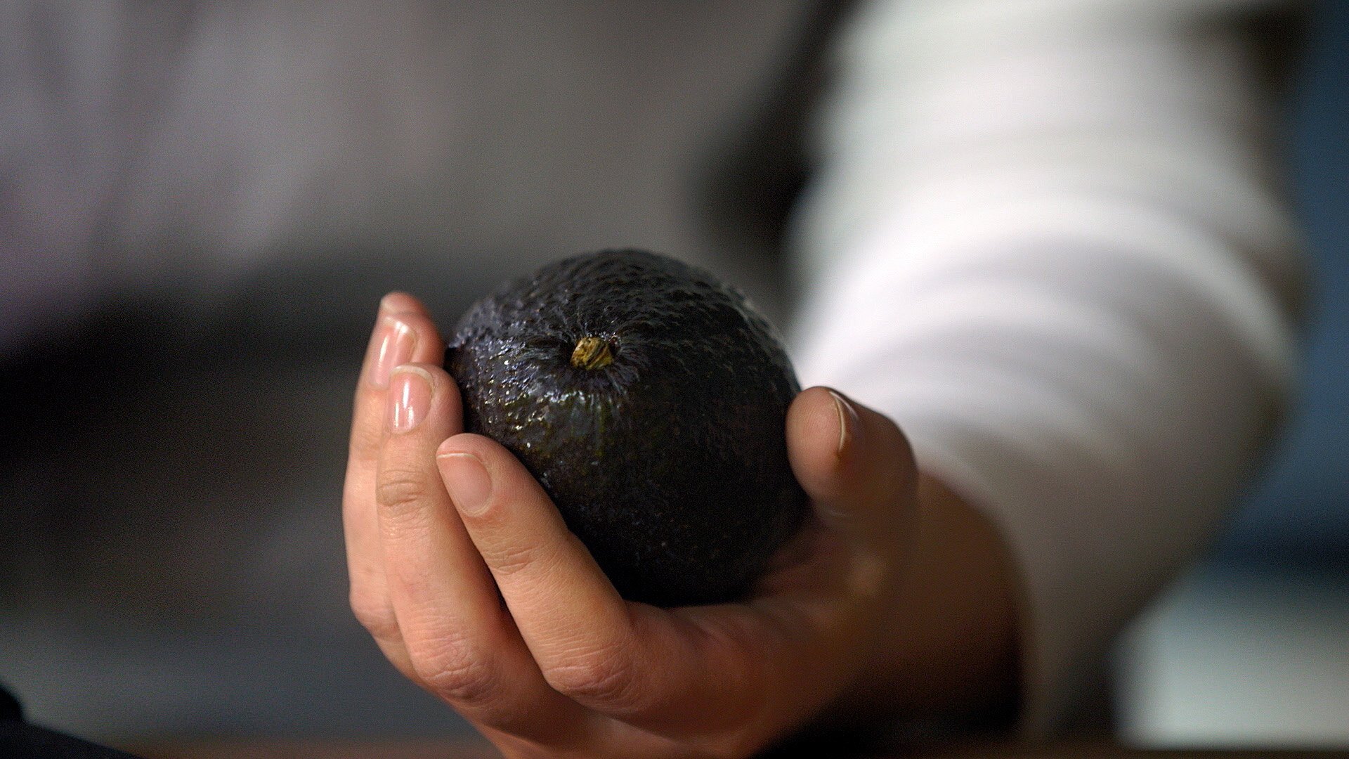 Closeup of an avocado being held in someone's hand