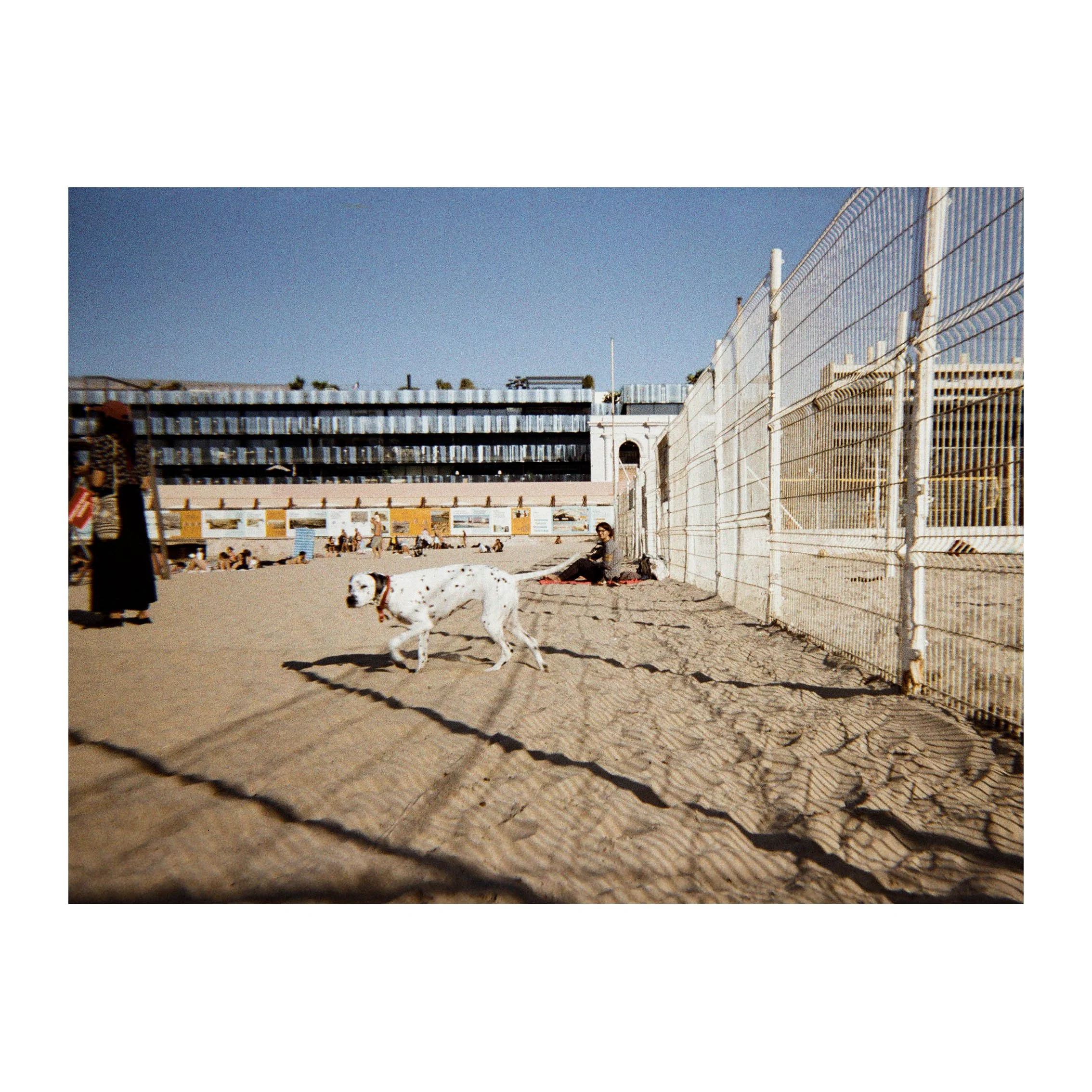 DARDUN_LeDalmatien_passepartout_0027_### copie.jpg