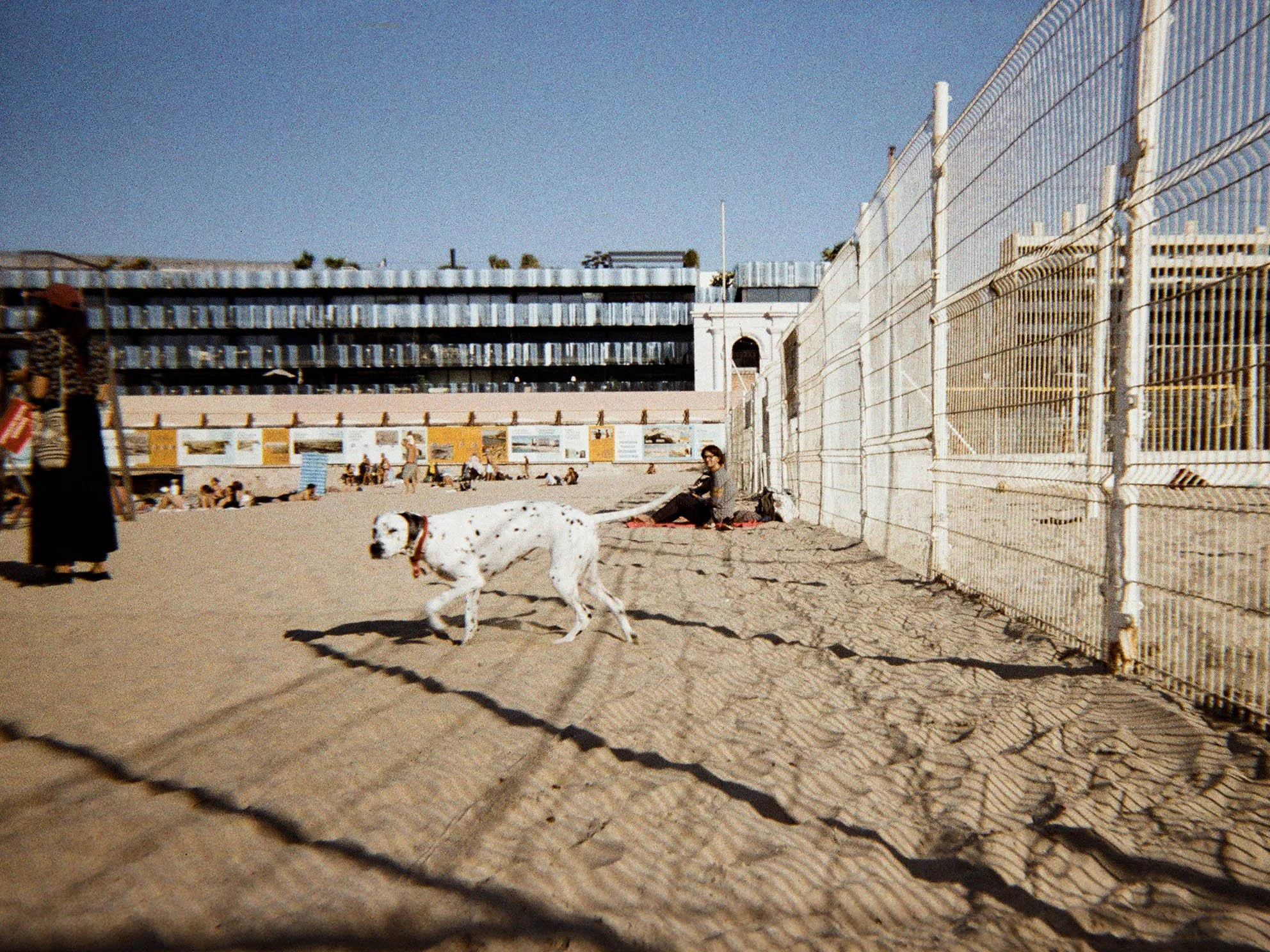 DARDUN_LeDalmatien_0027_### copie.jpg