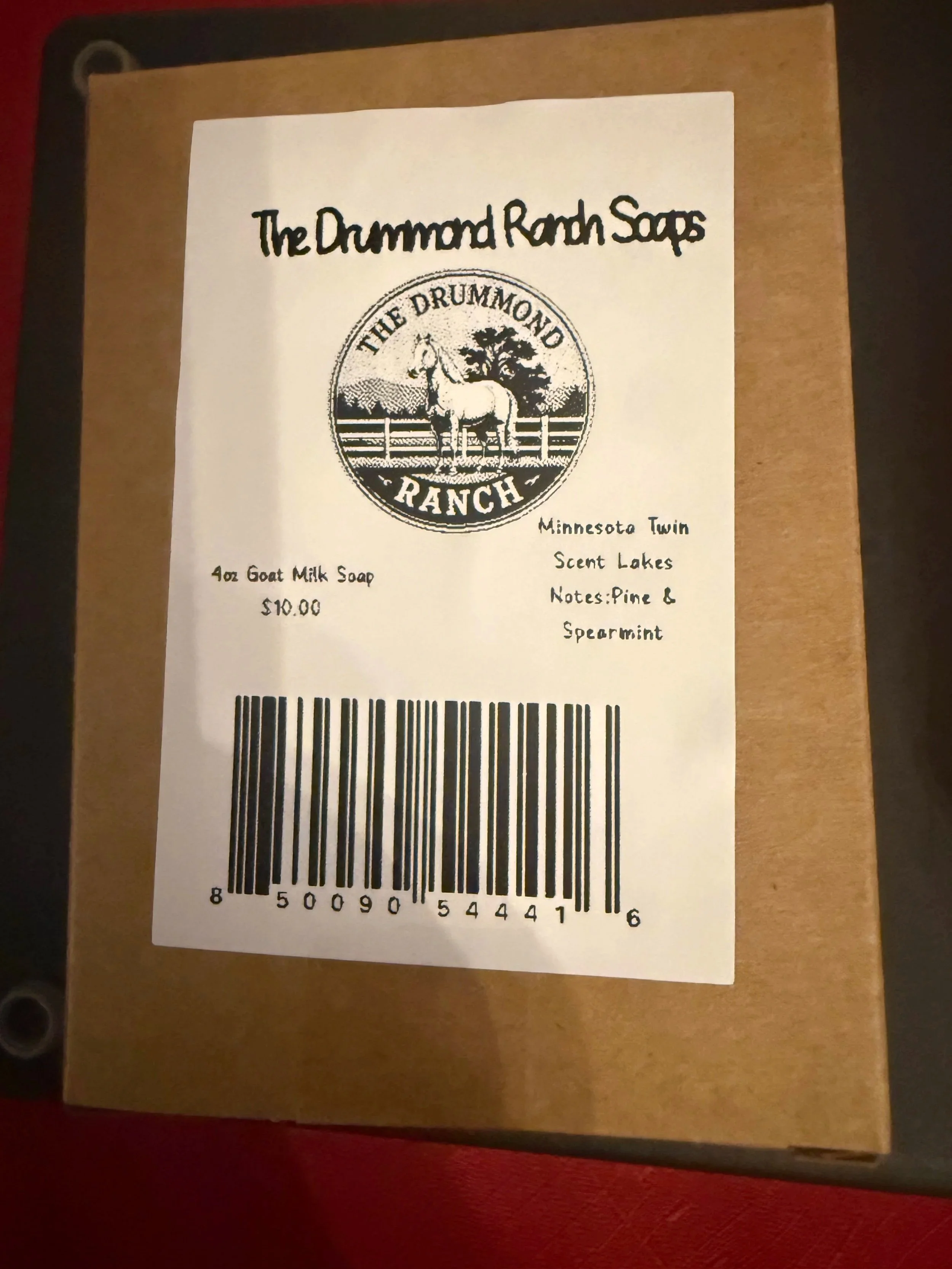 Minnesota+1.jpg