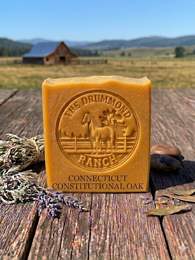 Connecticut Constitutional Oak.png