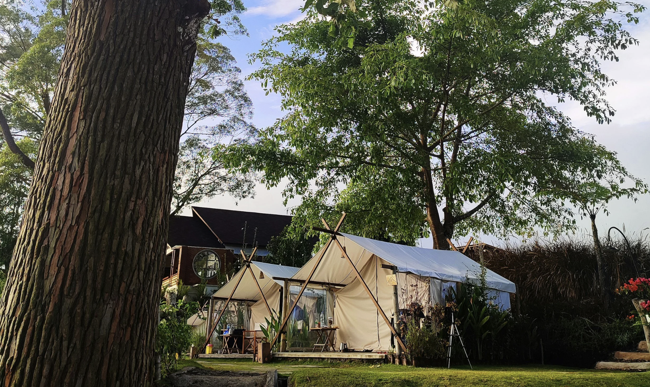 Why Glamping Continues to Resonate with Travelers