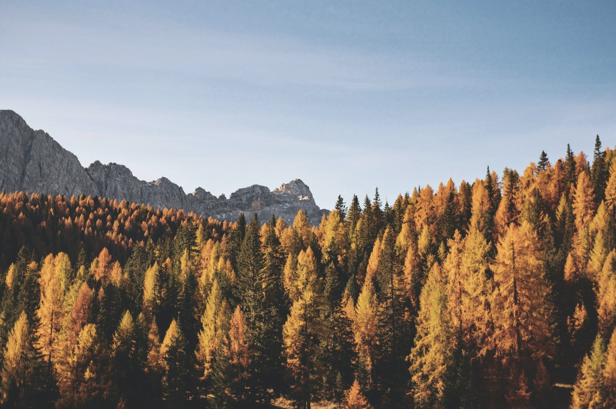 The Best Time of Year to Go Glamping