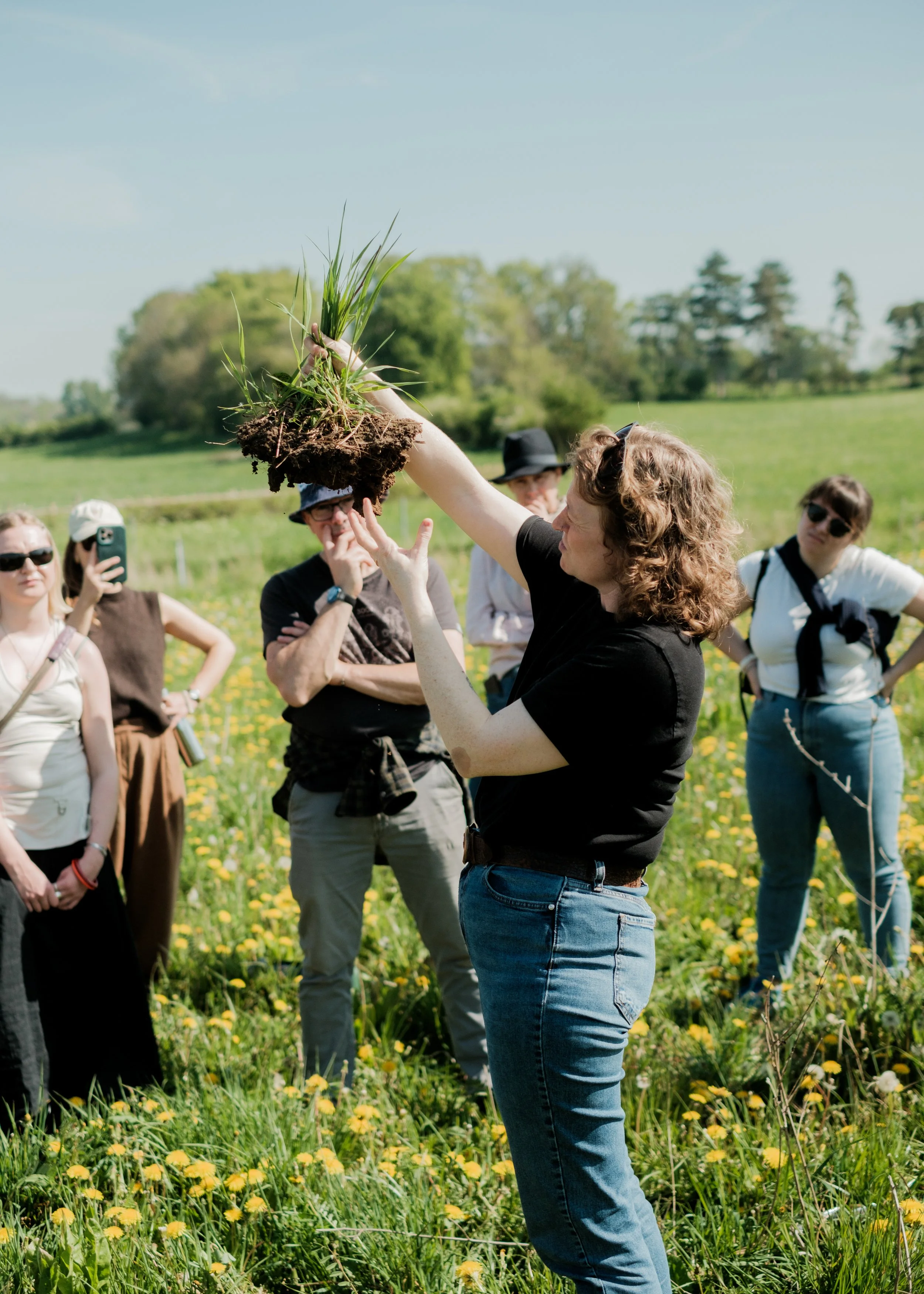 A woman demonstrating how to plant grass in a field with yellow flowers, with a group of people watching and taking photos.