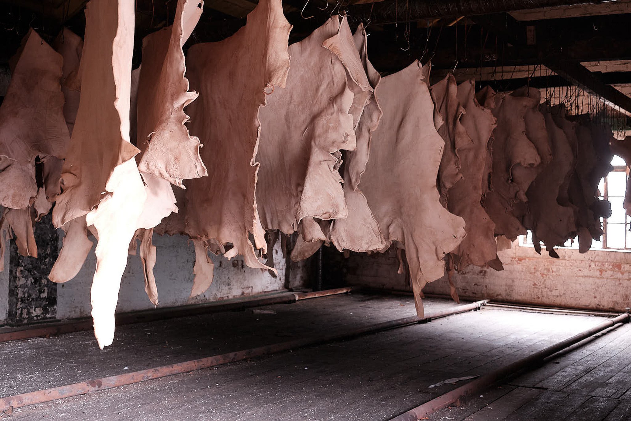 Process 2 _DSF4481.jpg