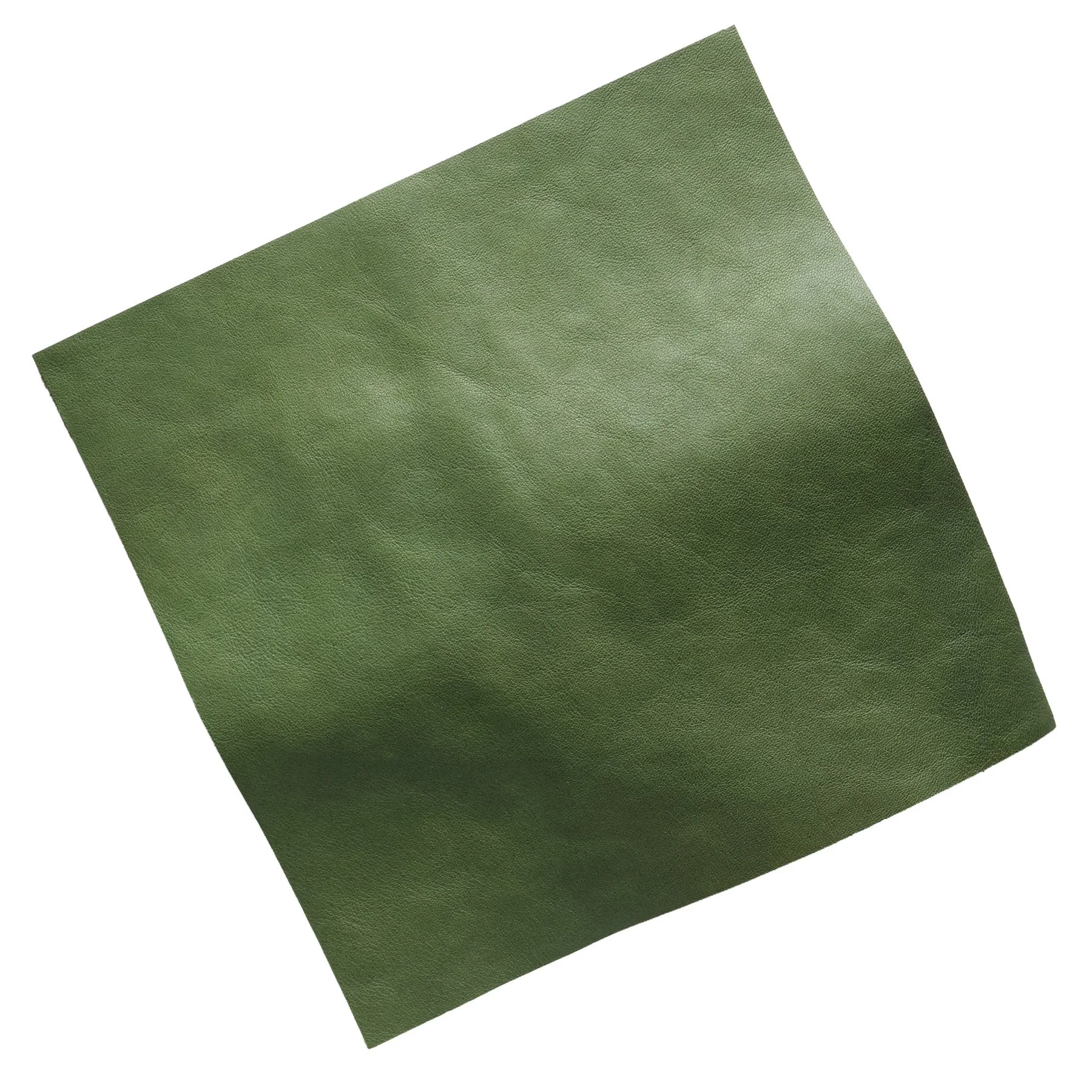 Fern tumbled .jpg