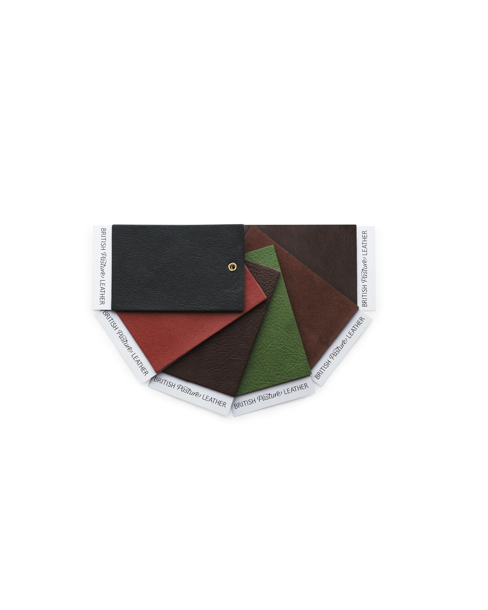SwatchSet_6semicircle_BritishPastureLeather.jpg.jpg
