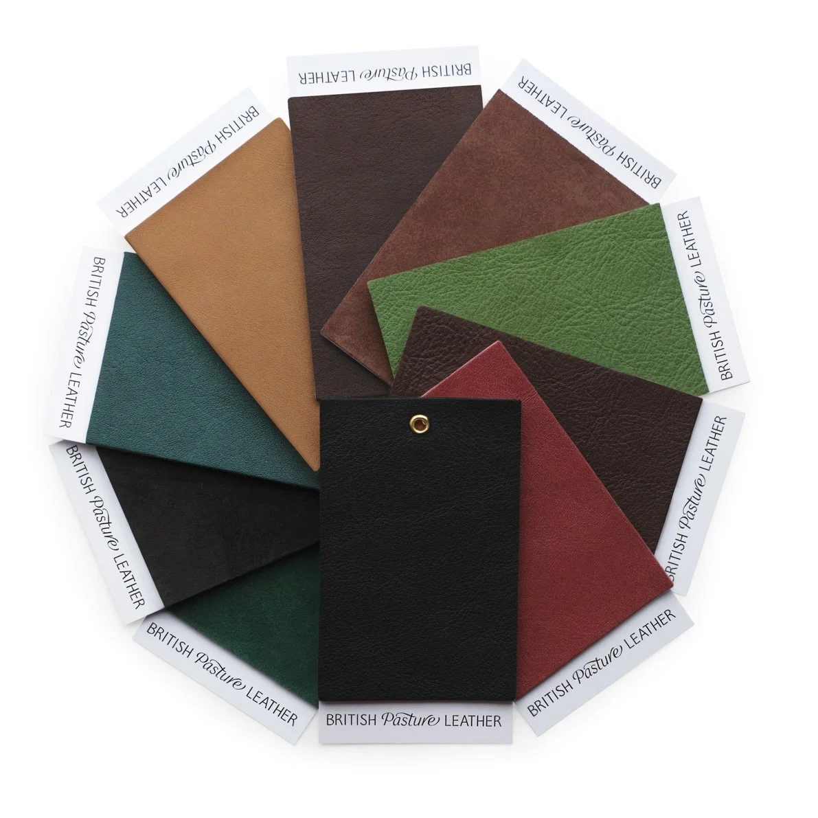SQ_SwatchSet_10fan_BritishPastureLeather.jpg