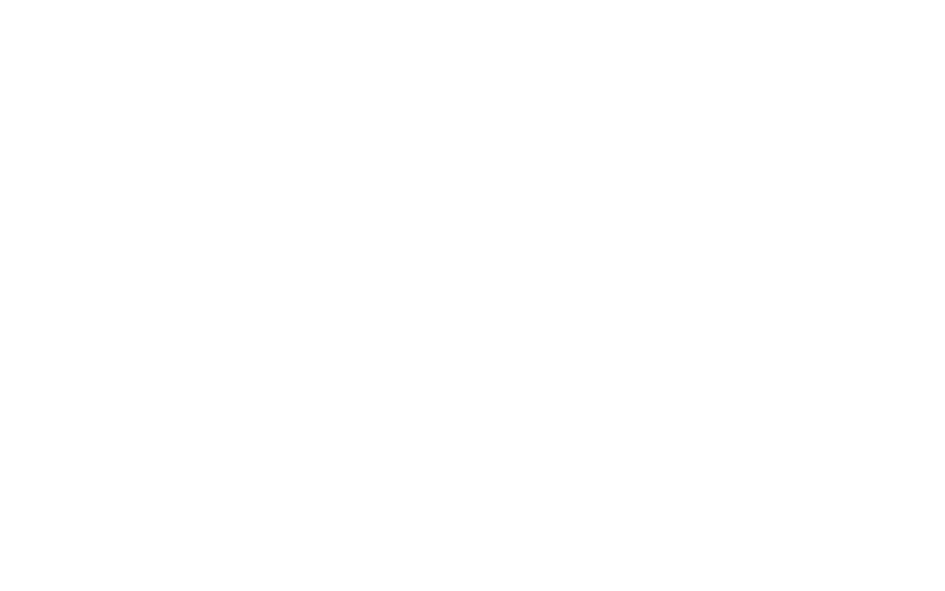 Text that reads 'Ally Capellino' in large white font on a black background.