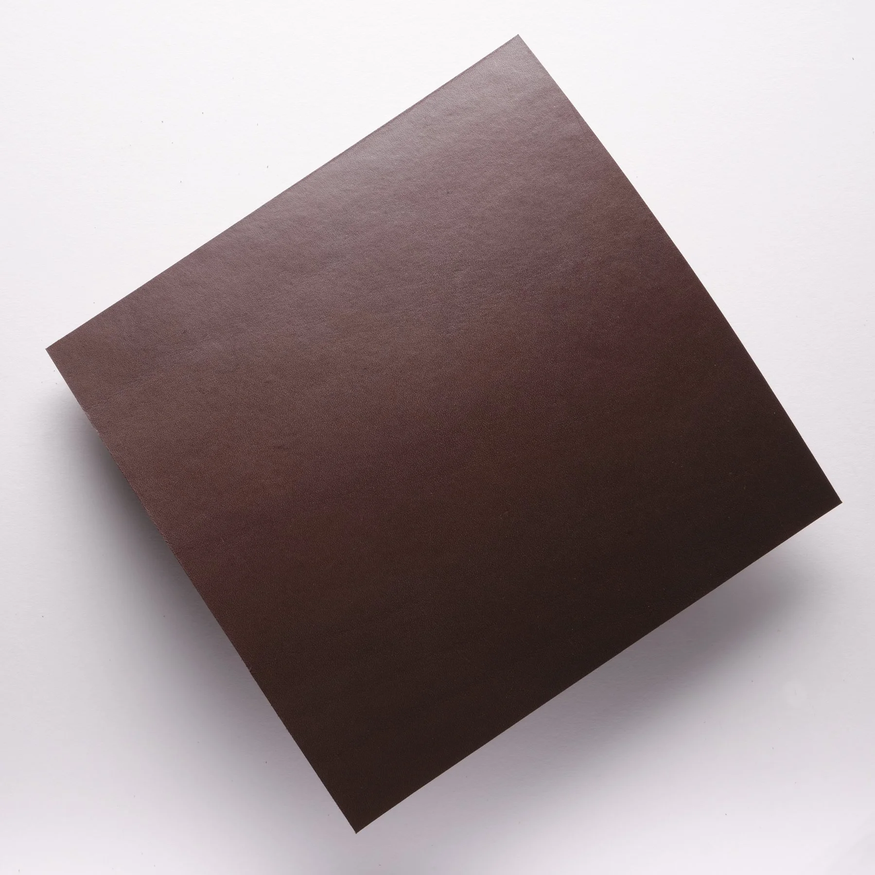 British-Pasture-Leather-our-leather-firm-2.JPG