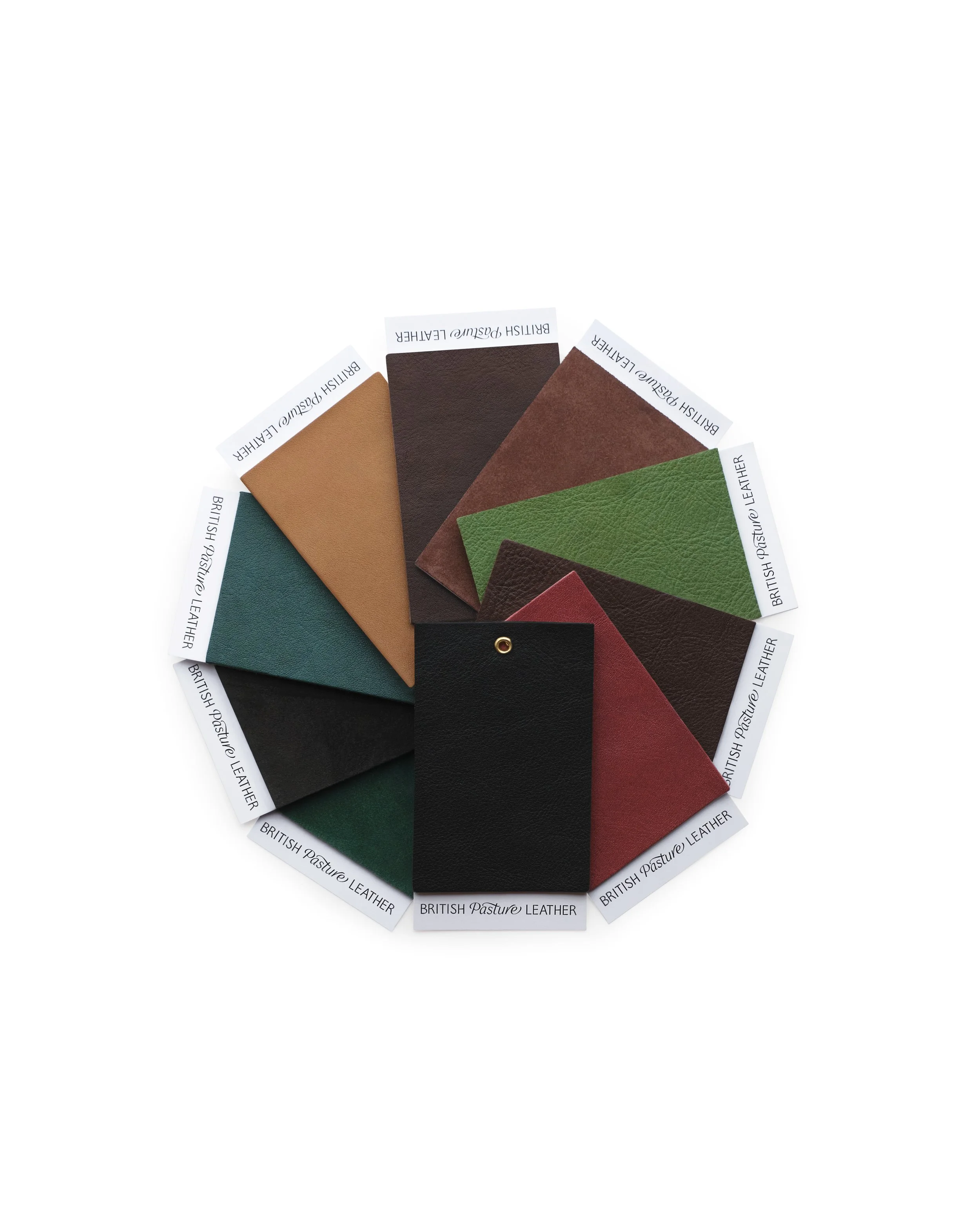 Swatch Set (10)