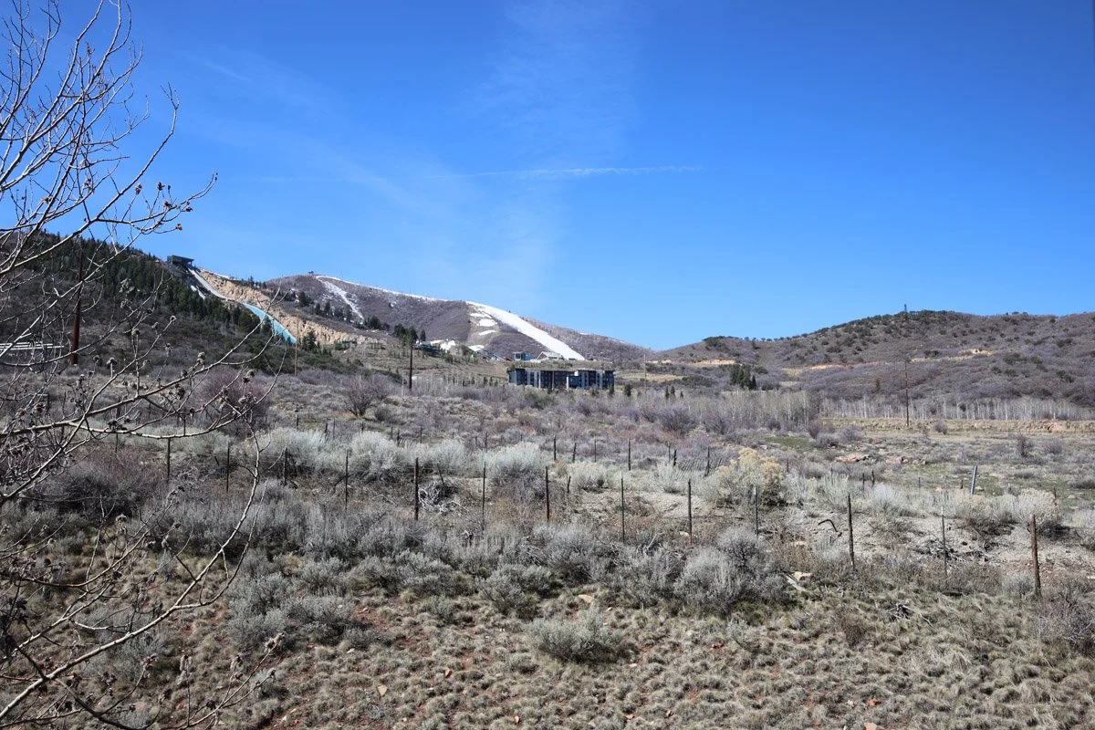 27 - 5655 Oslo Lane.jpg