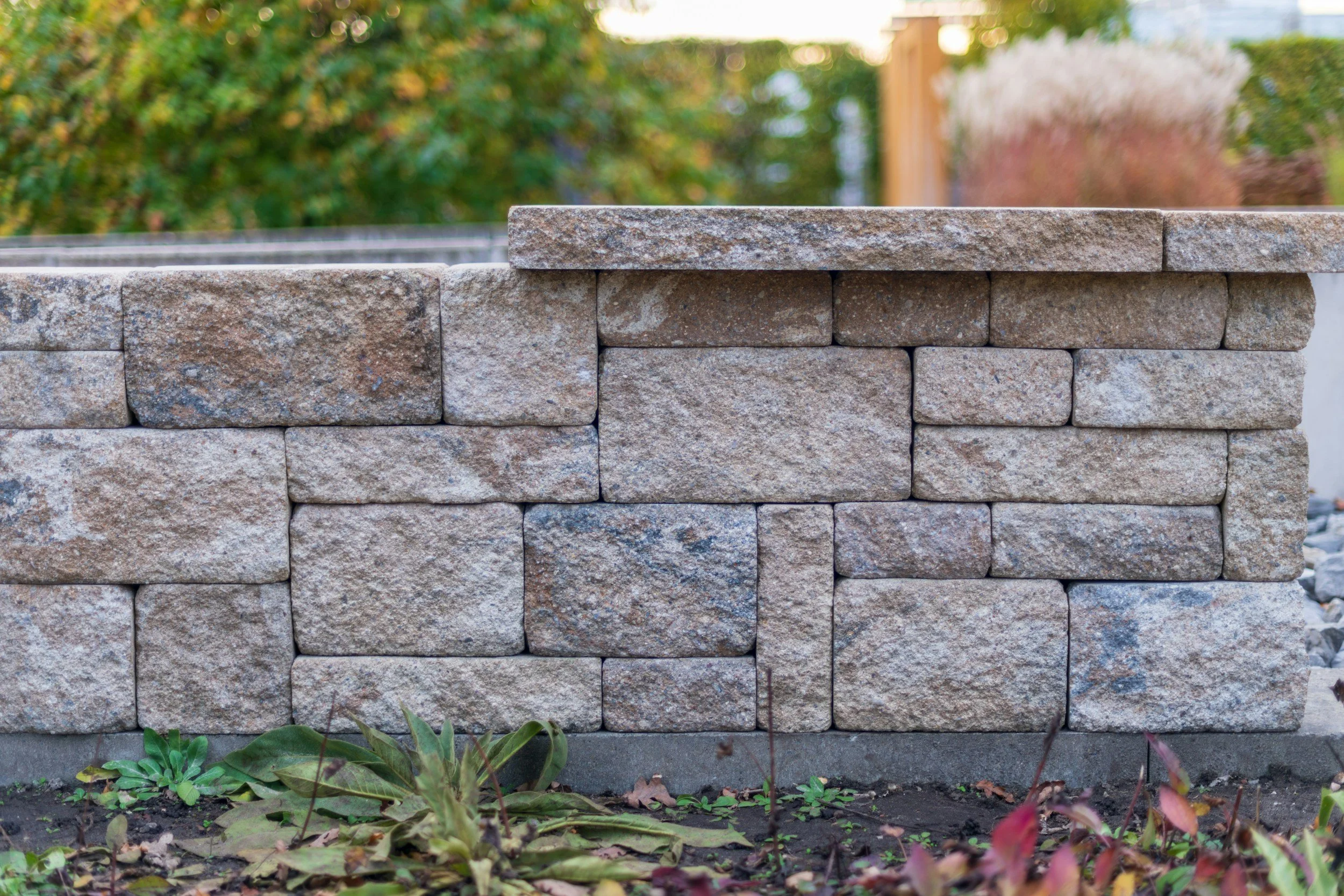 Close-up of a stone brick wall with various sized rectangular beige and brown stones, with some green and reddish plants at the base, and a blurred background of trees and a wooden structure.