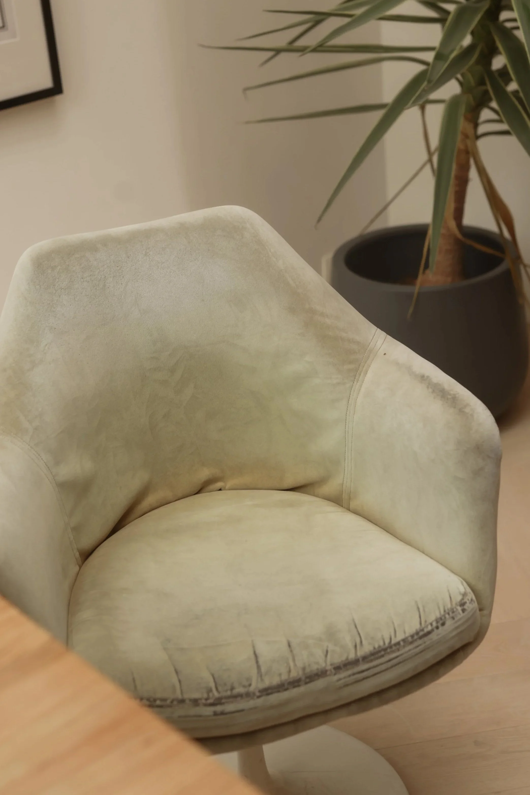A beige, plush, upholstered armchair with worn fabric, placed near a wooden surface, with a potted plant with long, pointed leaves in the background.