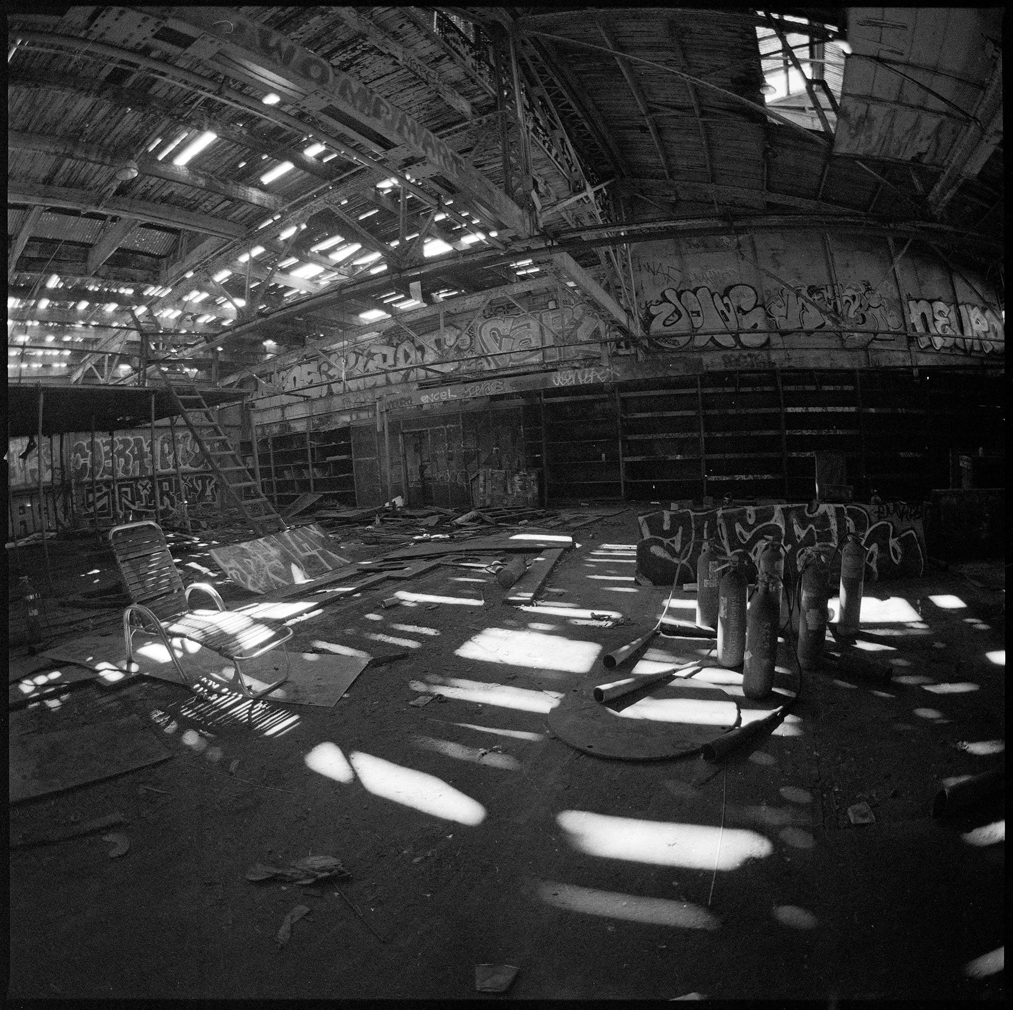 DOGPATCH6WEBREADY copy.jpg