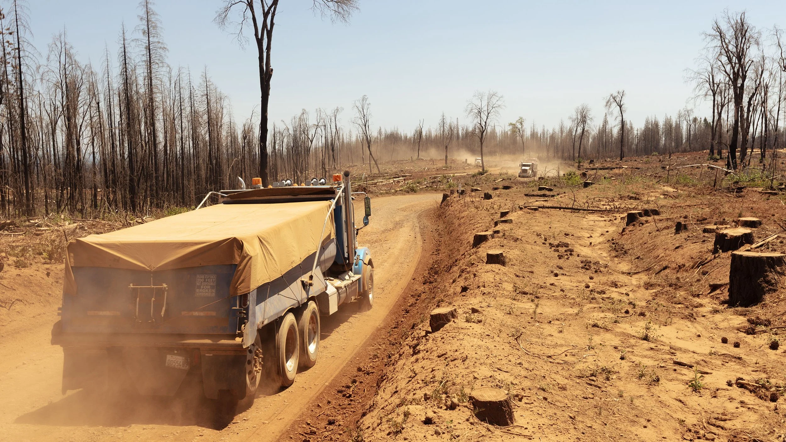 A utility vehicle driving along a dusty trail in a deforested area with blackened, charred trees and cut tree stumps, indicating recent environmental destruction.