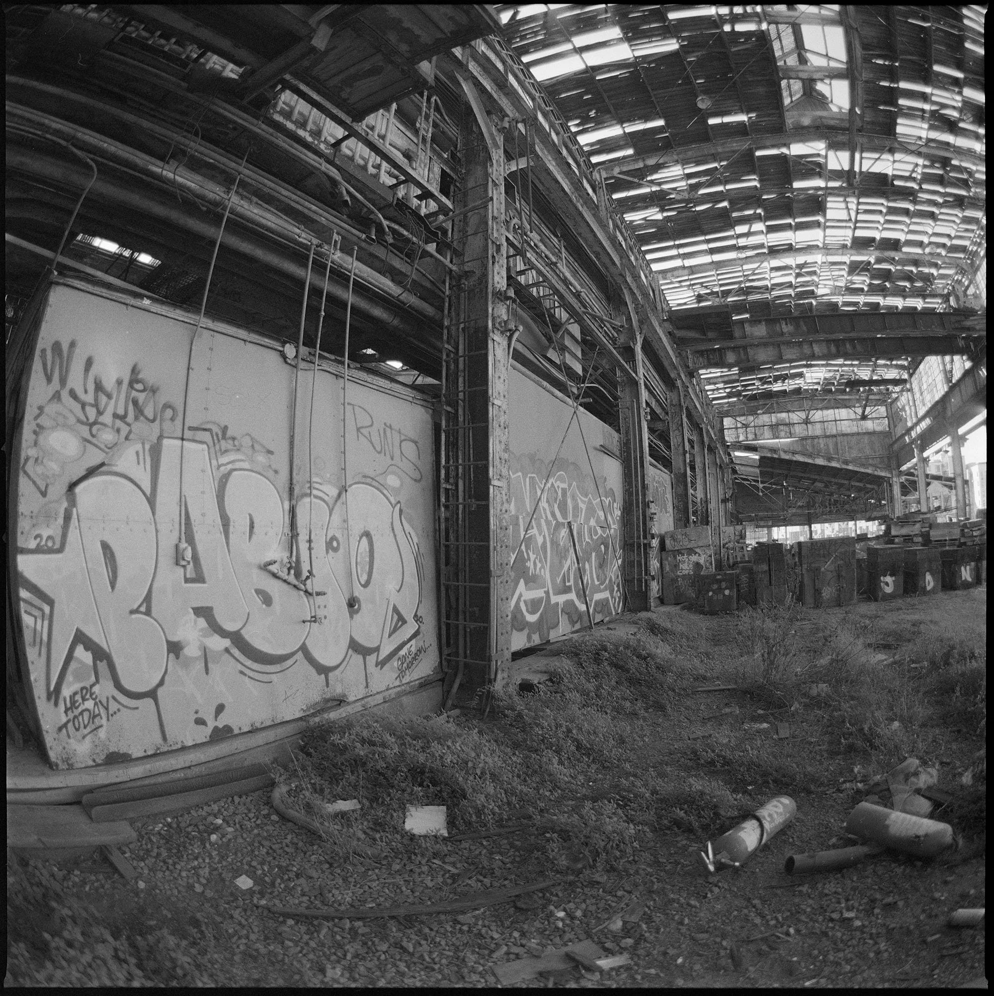 DOGPATCH4WEBREADY.jpg