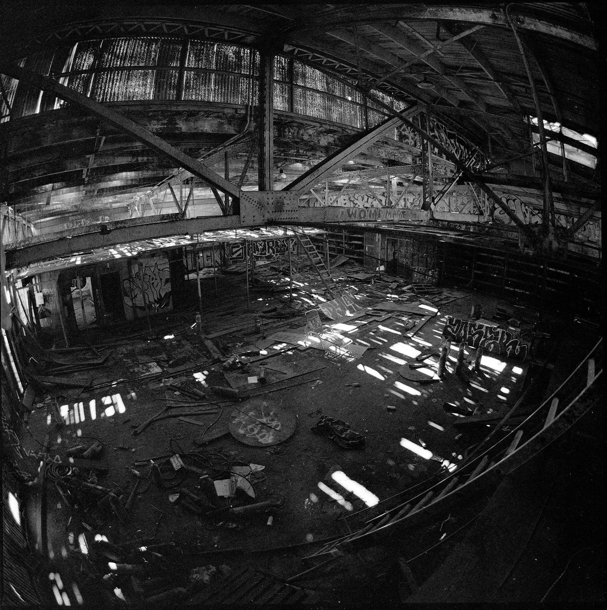 DOGPATCH 8 copy.jpg